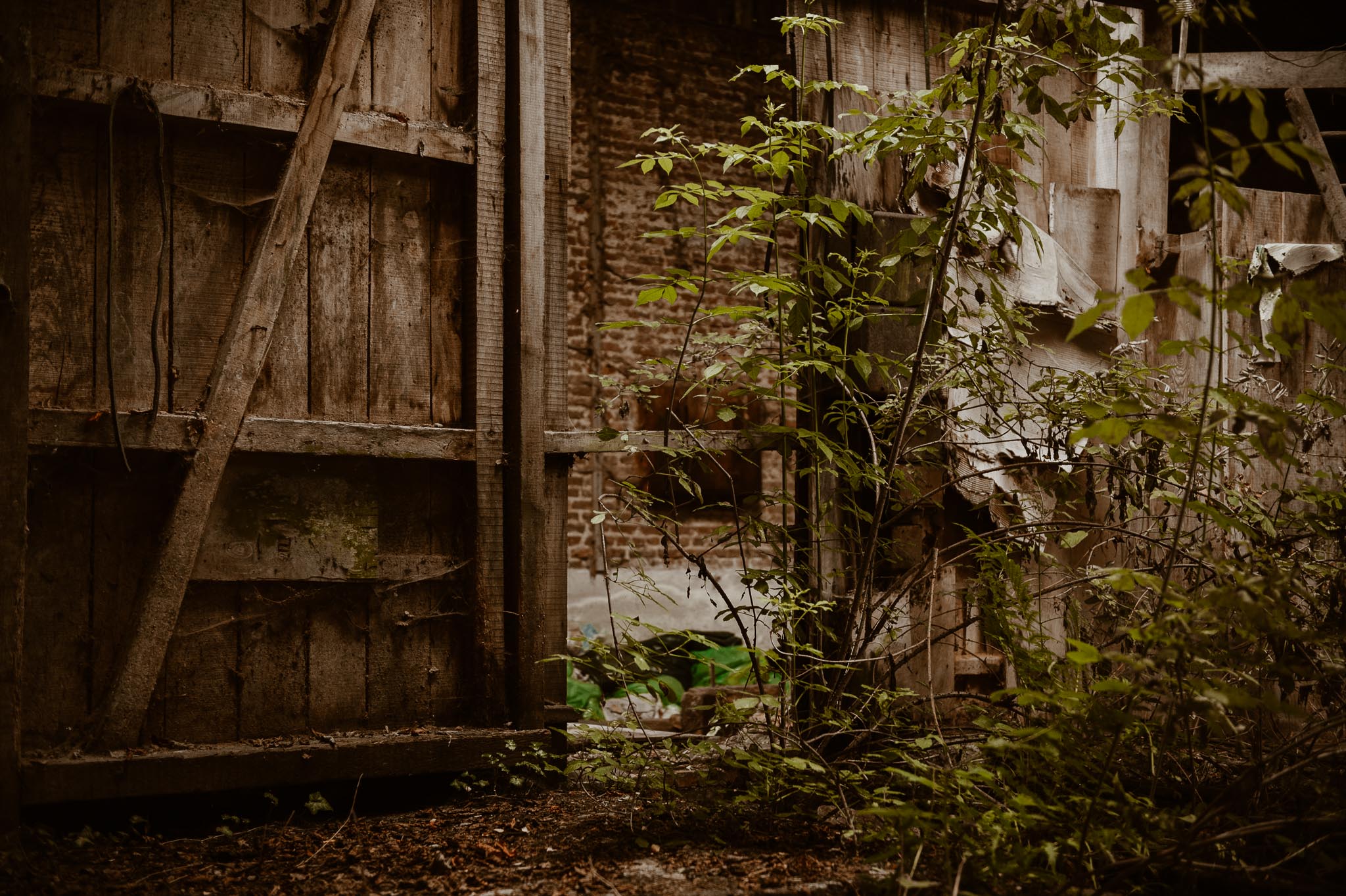 Séance couple après mariage poétique & romantique dans une friche pré-industrielle près de Amiens par Geoffrey Arnoldy photographe