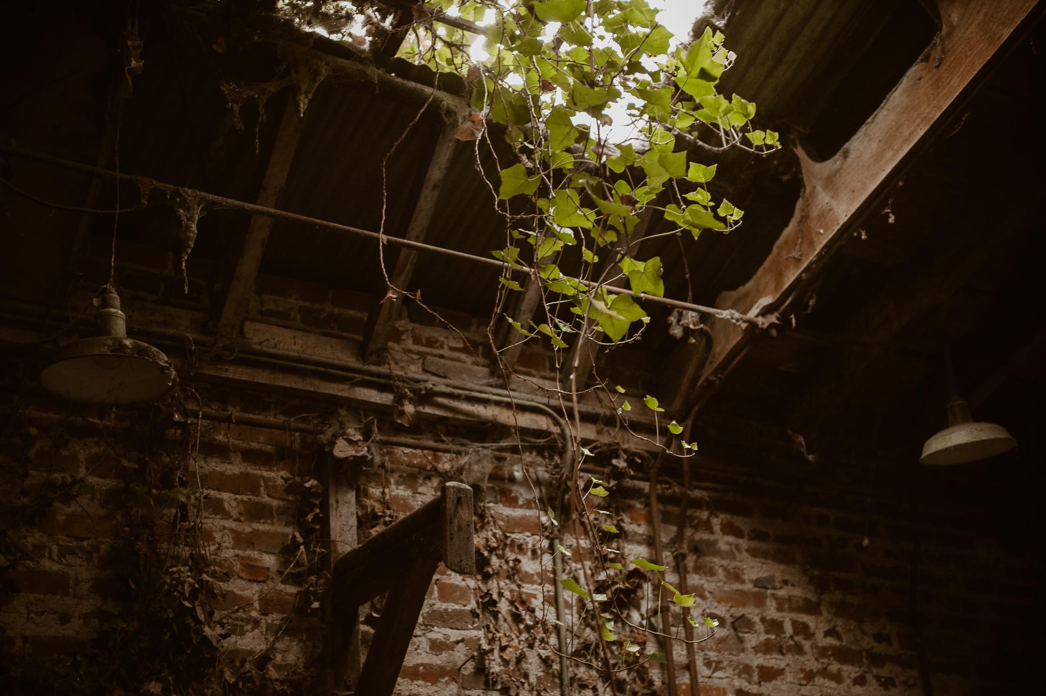 Séance couple après mariage poétique & romantique dans une friche pré-industrielle près de Amiens par Geoffrey Arnoldy photographe