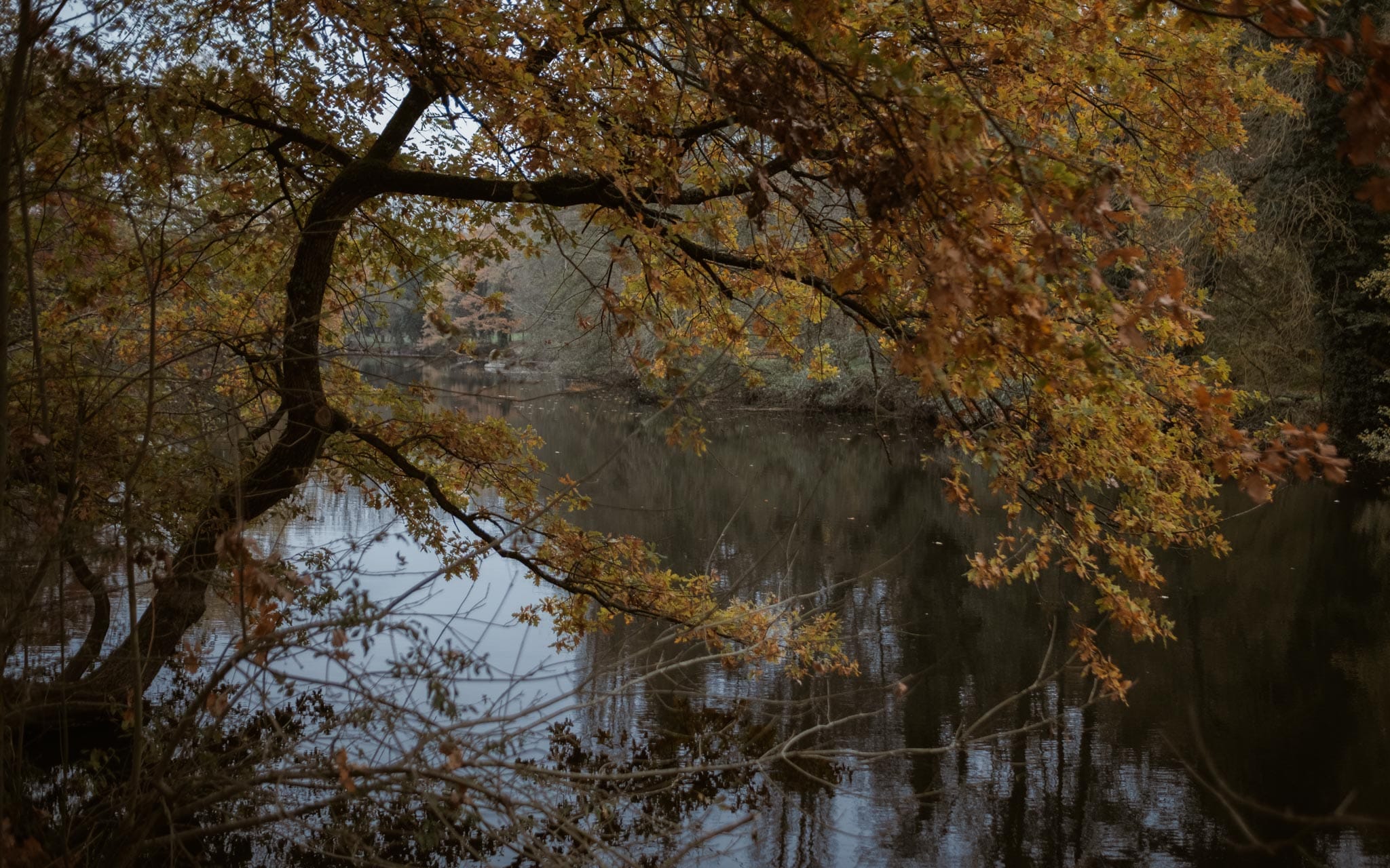 Séance photo de grossesse et futurs parents en extérieur, à l’ambiance poétique, en forêt près de Clisson par Geoffrey Arnoldy photographe