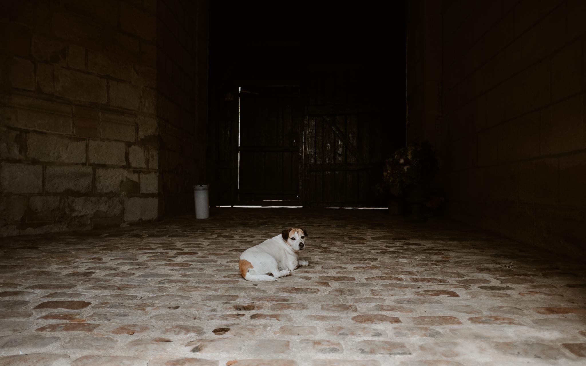 photographies d’un mariage chic à Morienval