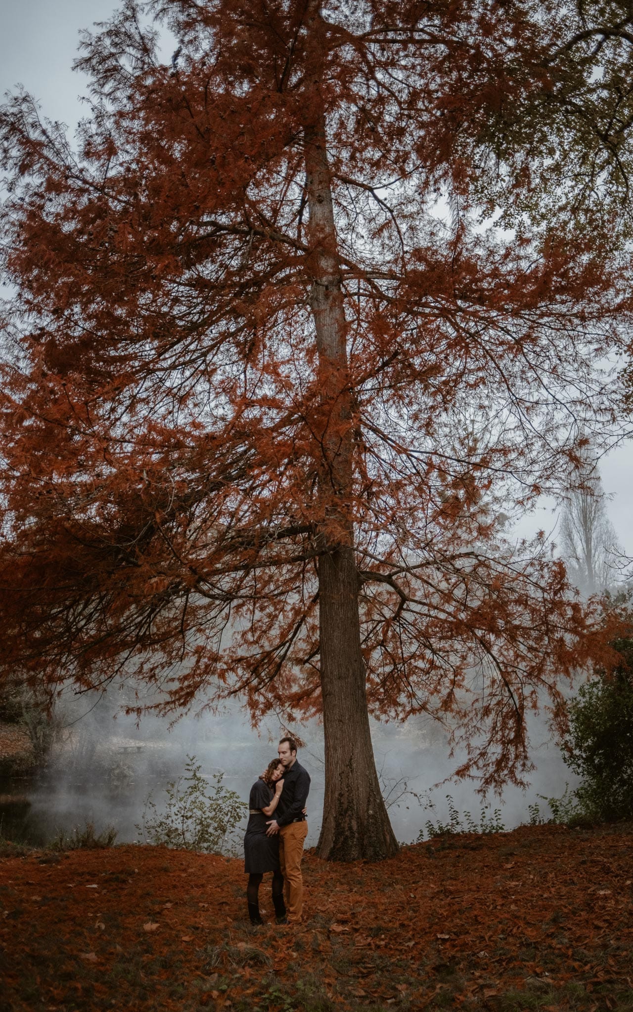 Séance photo de grossesse et futurs parents en extérieur, à l’ambiance poétique, en forêt à l’automne près de Clisson par Geoffrey Arnoldy photographe