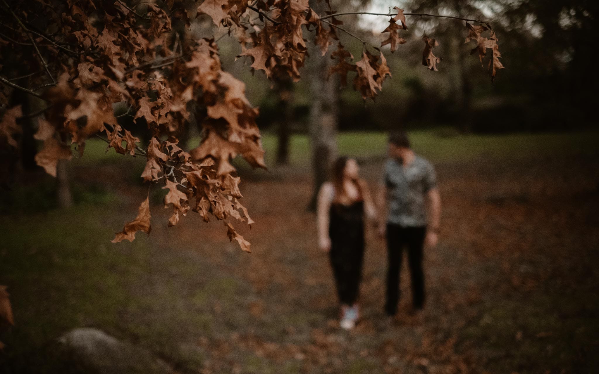 Séance couple femme enceinte en extérieur, à l’ambiance poétique, dans la forêt et au bord de l’eau par Geoffrey Arnoldy photographe