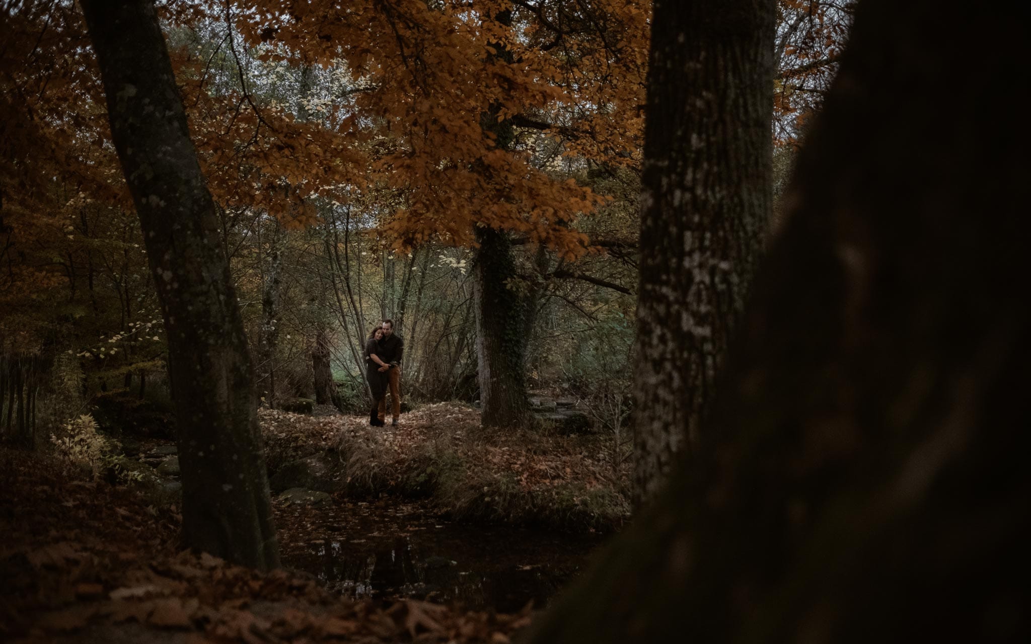 Séance photo de grossesse et futurs parents en extérieur, à l’ambiance poétique, en forêt à l’automne près de Clisson par Geoffrey Arnoldy photographe