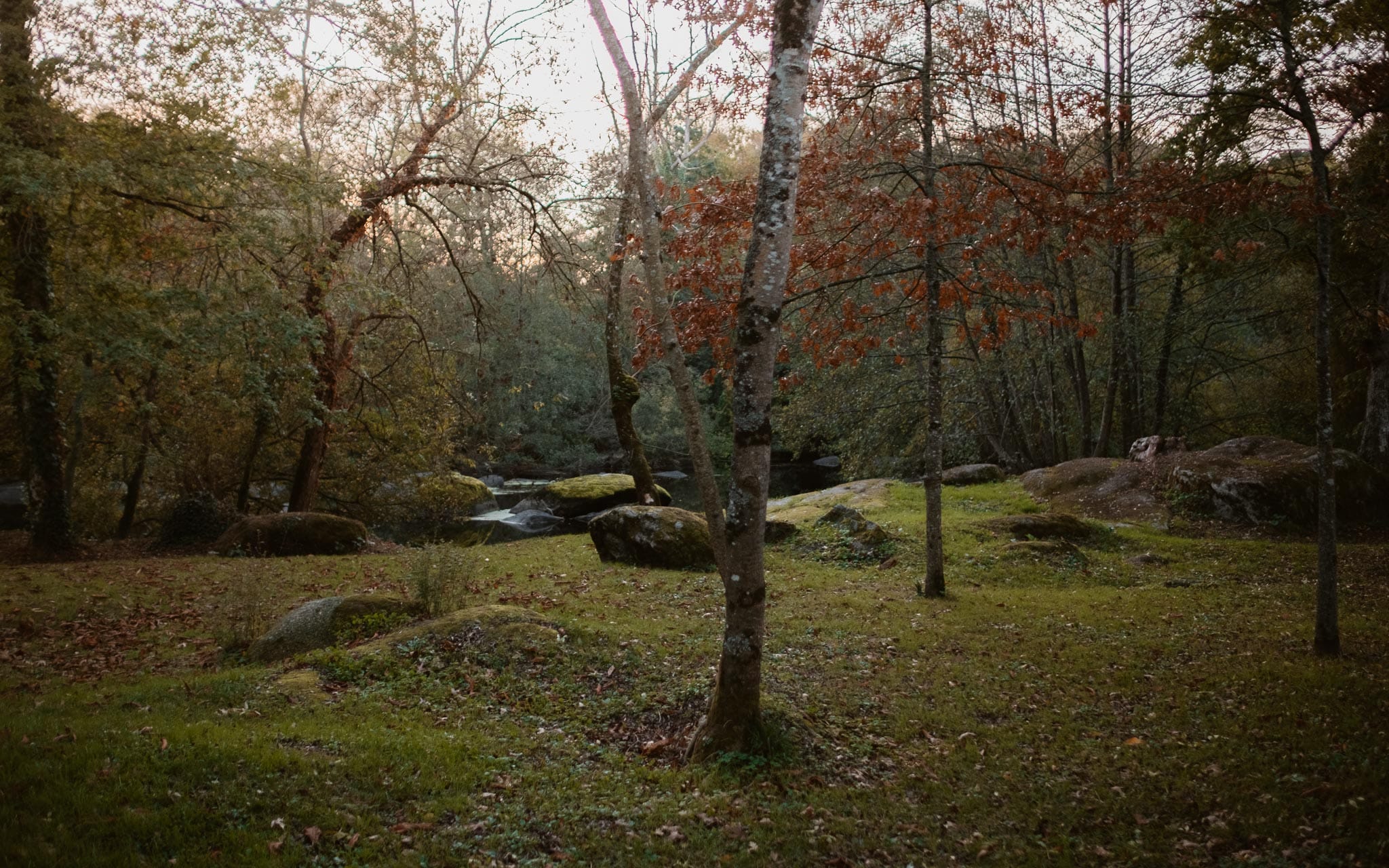 Séance couple femme enceinte en extérieur, à l’ambiance poétique, dans la forêt et au bord de l’eau par Geoffrey Arnoldy photographe