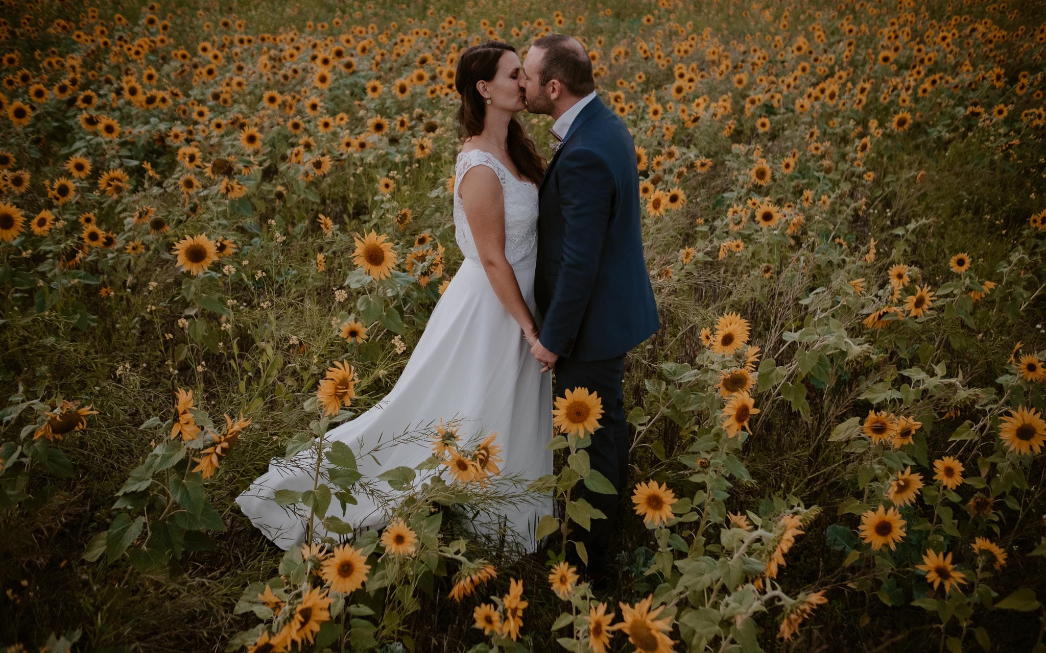 Séance couple après mariage naturelle et romantique dans un champ de tournesols en vendée par Geoffrey Arnoldy photographe