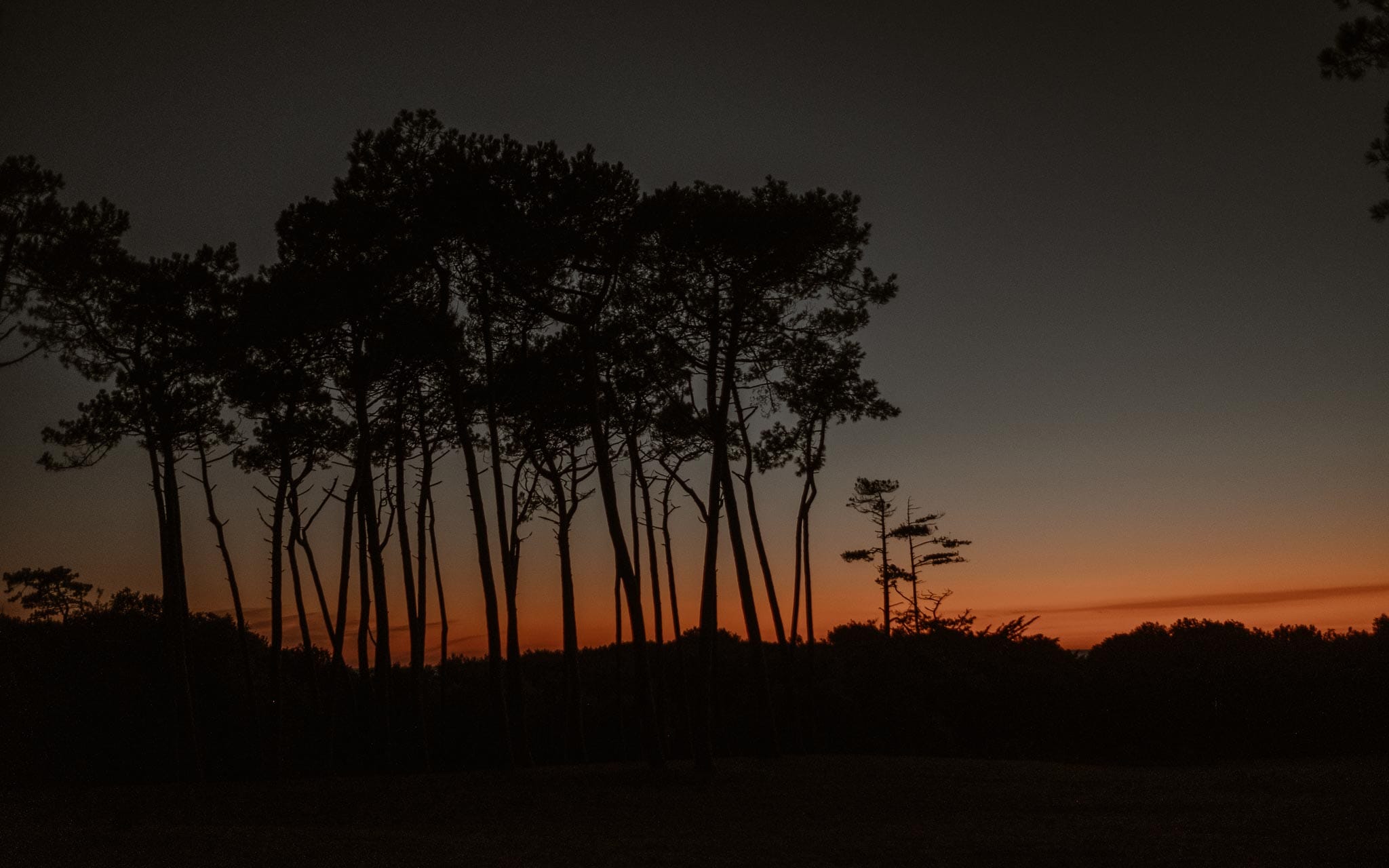 Séance couple femme enceinte en extérieur, à l’ambiance poétique et romantique, au coucher de soleil sur la plage à la Baule par Geoffrey Arnoldy photographe