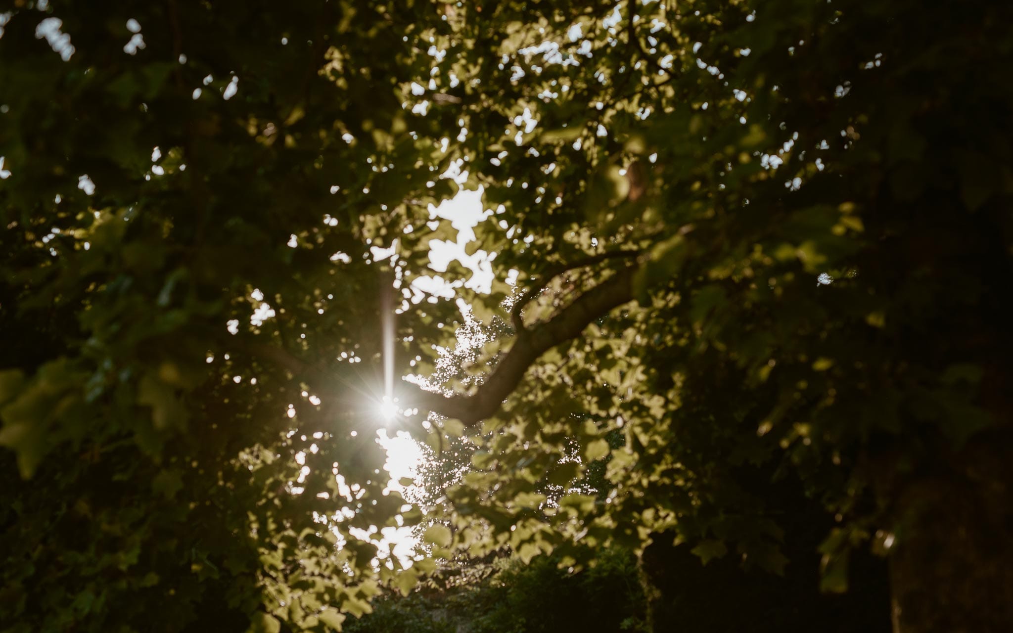 photographies d’un mariage boho chic à Amiens et Montreuil-sur-mer