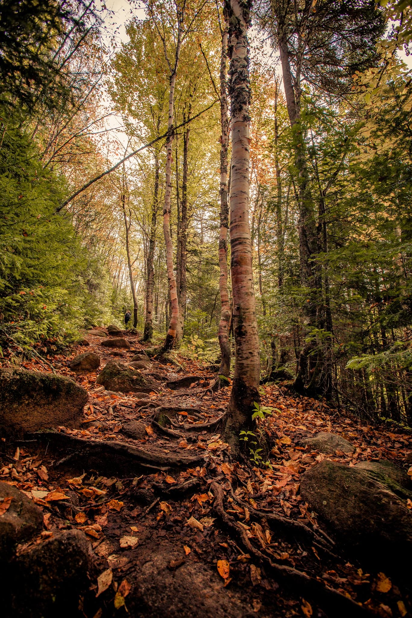 quebec-photo-nature-paysage-nantes-geoffrey-arnoldy-le-temps-d'une-pose-photographe-photographer-french-wedding