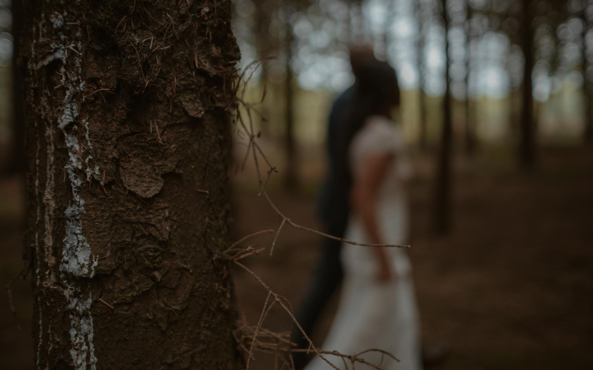 photo d’une séance de couple day-after romantique & onirique dans une forêt en vendée par Geoffrey Arnoldy photographe