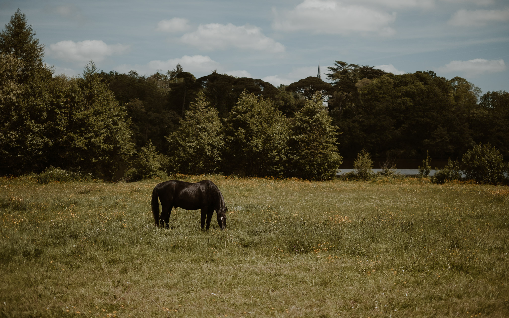 photographies d’un mariage hippie chic à la Chapelle sur Erdre, près de Nantes