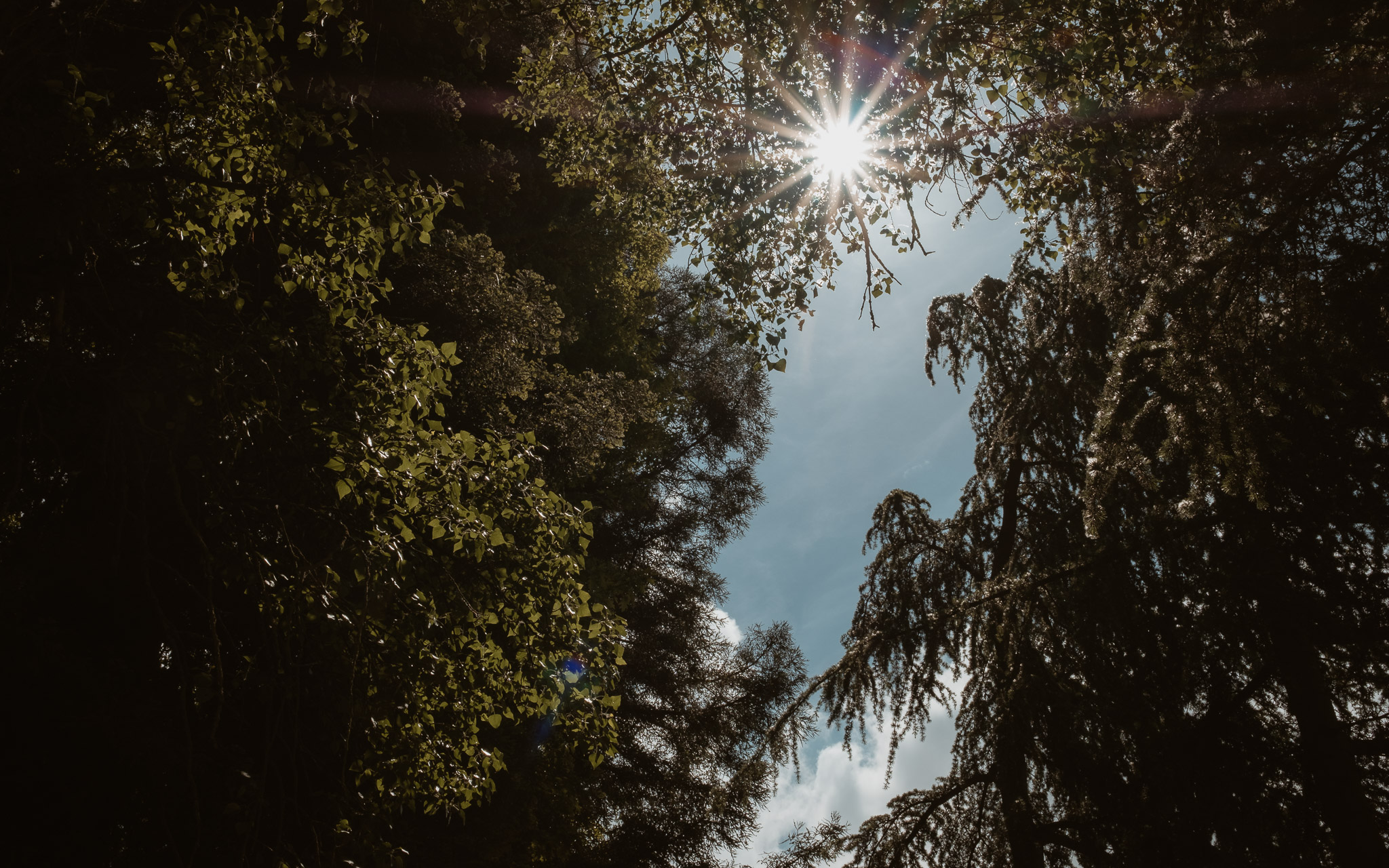 photographies d’un mariage hippie chic à la Chapelle sur Erdre, près de Nantes