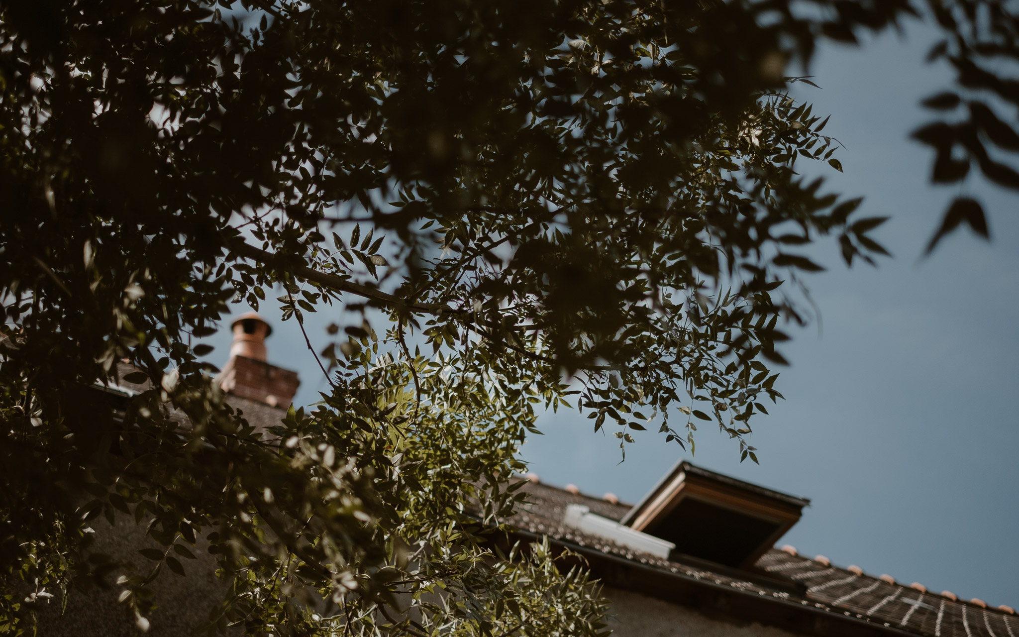 photographies d’un mariage multi-culturel à Freigné, entre Nantes, Angers et Ancenis.