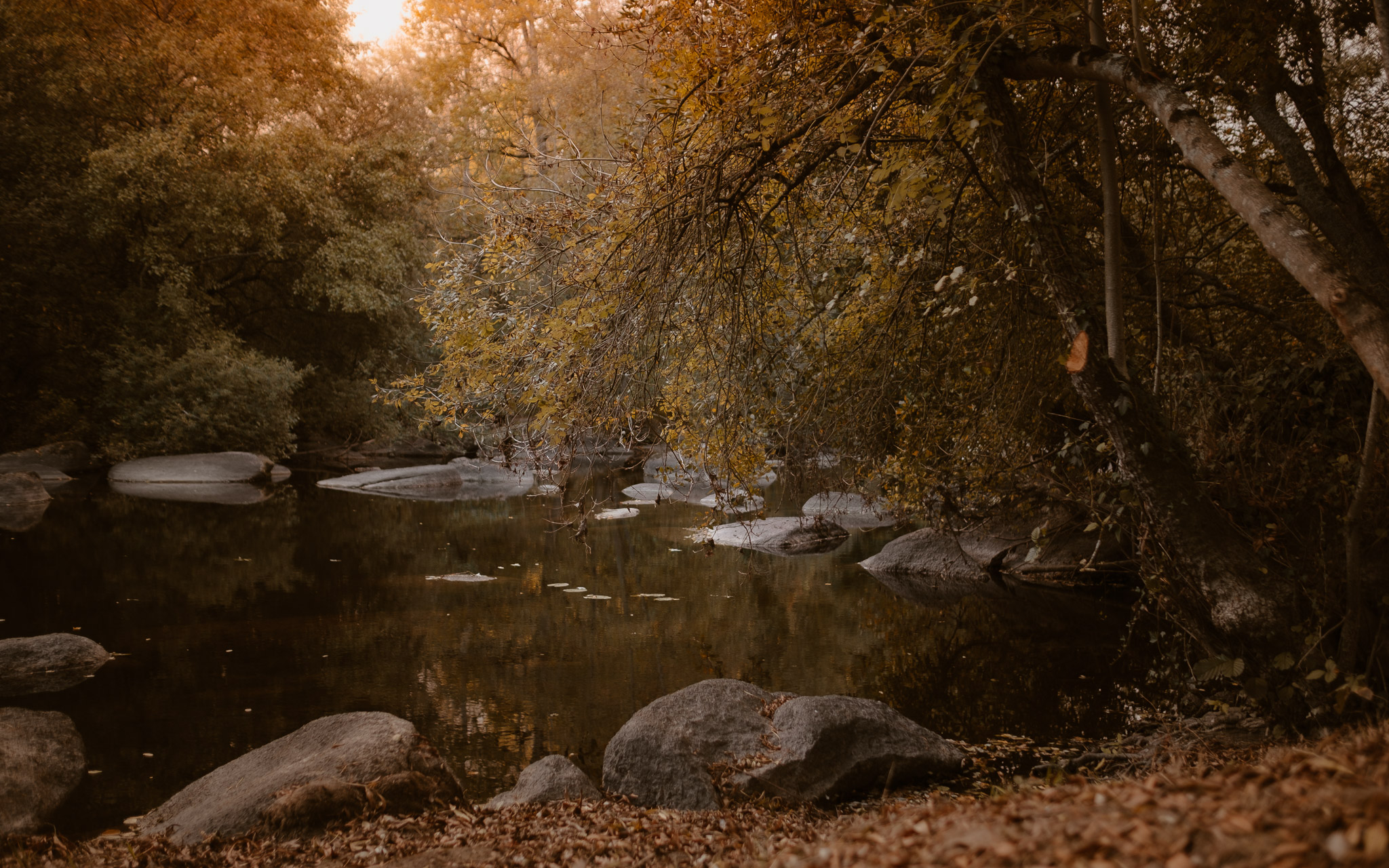 Séance photo de famille parents enfant en extérieur, à l’ambiance poétique en automne à Clisson par Geoffrey Arnoldy photographe