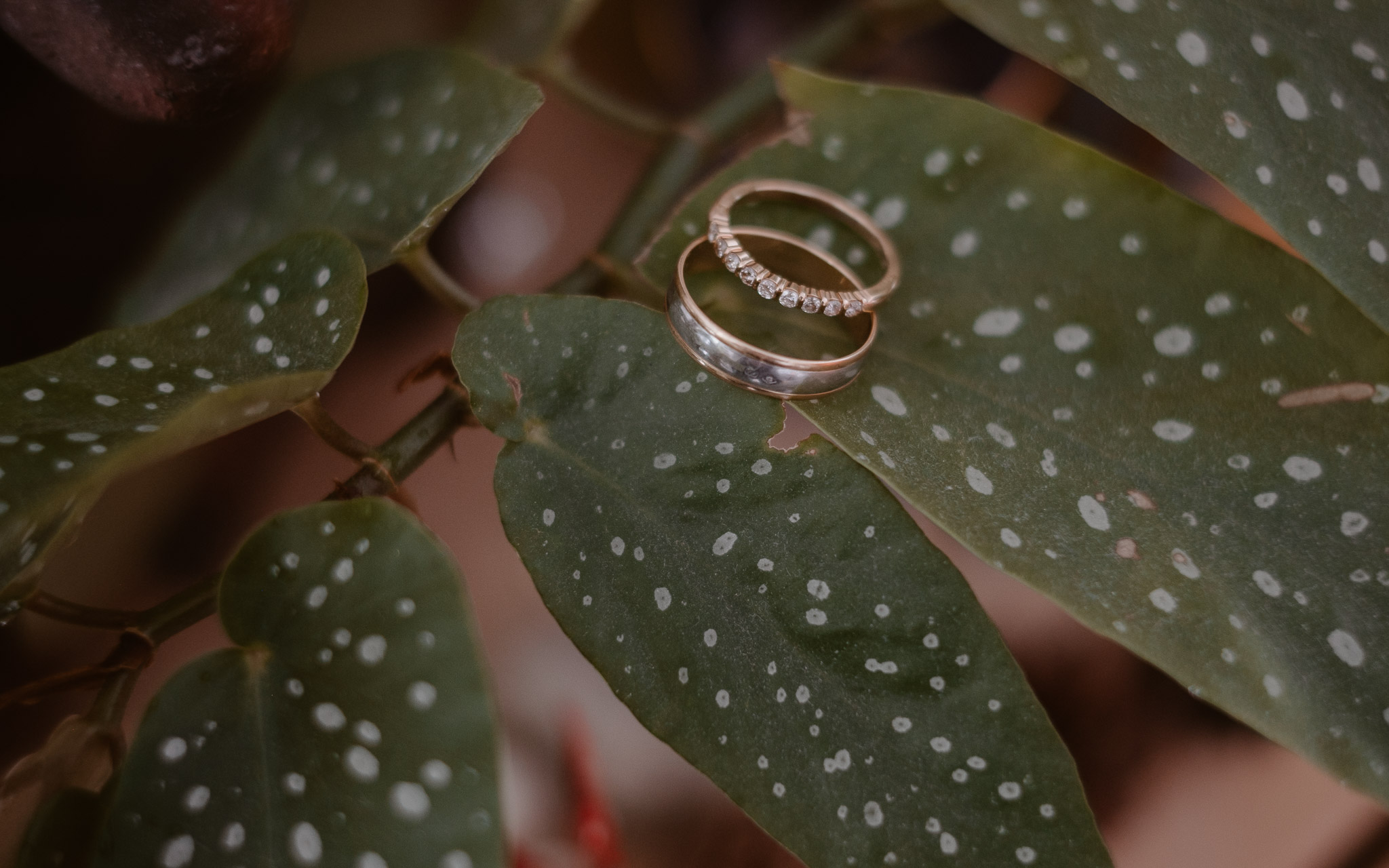 mariage-hindou-chateau-de-bezyl-sixt-sur-aff-reportage-photo-Geoffrey-Arnoldy