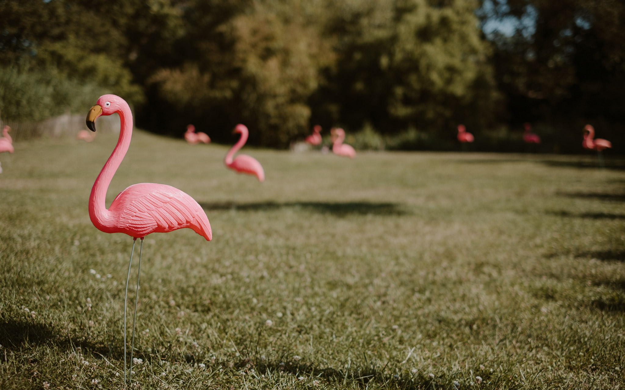 photographies d’un mariage tropical au Château de Saint-Marc à Saint Nazaire