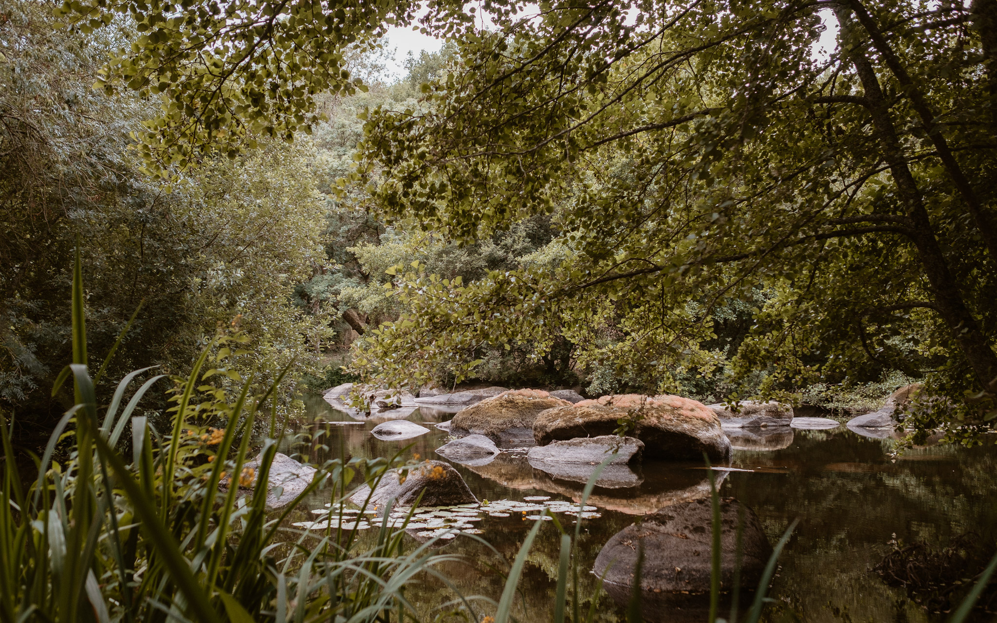 Séance photo de famille parents enfant en extérieur, en été à Clisson par Geoffrey Arnoldy photographe