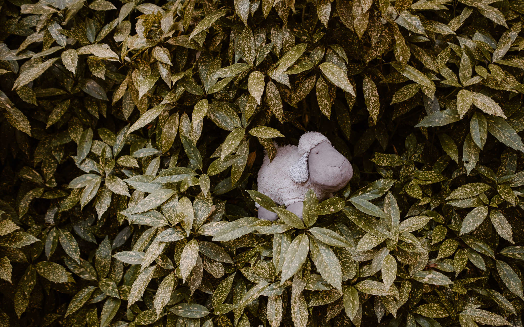 Séance photo de famille parents enfant en extérieur, en été à Clisson par Geoffrey Arnoldy photographe