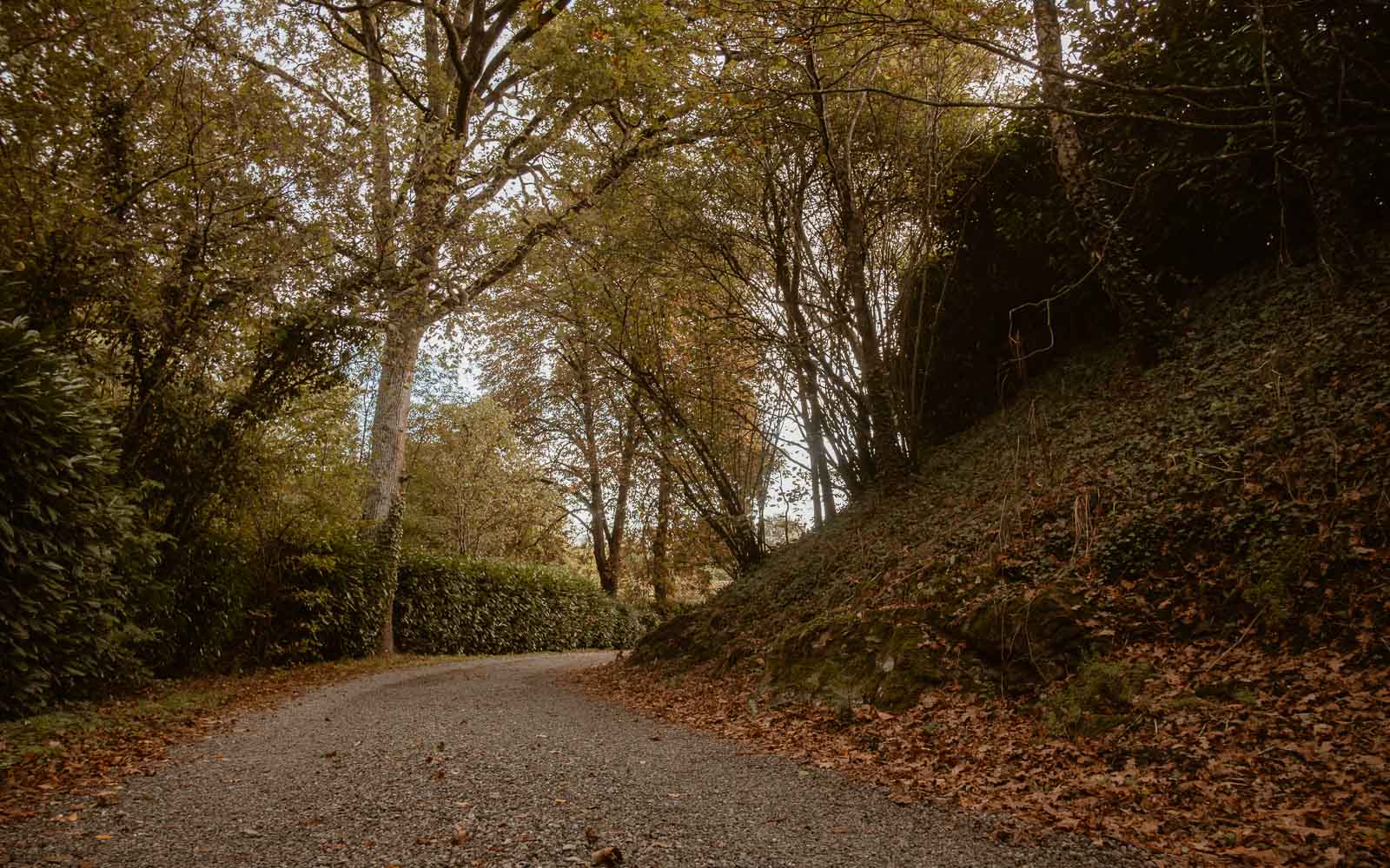 photographies d’un mariage conte d'automne au domaine du Moulin Neuf à Montrevault-sur-Èvre