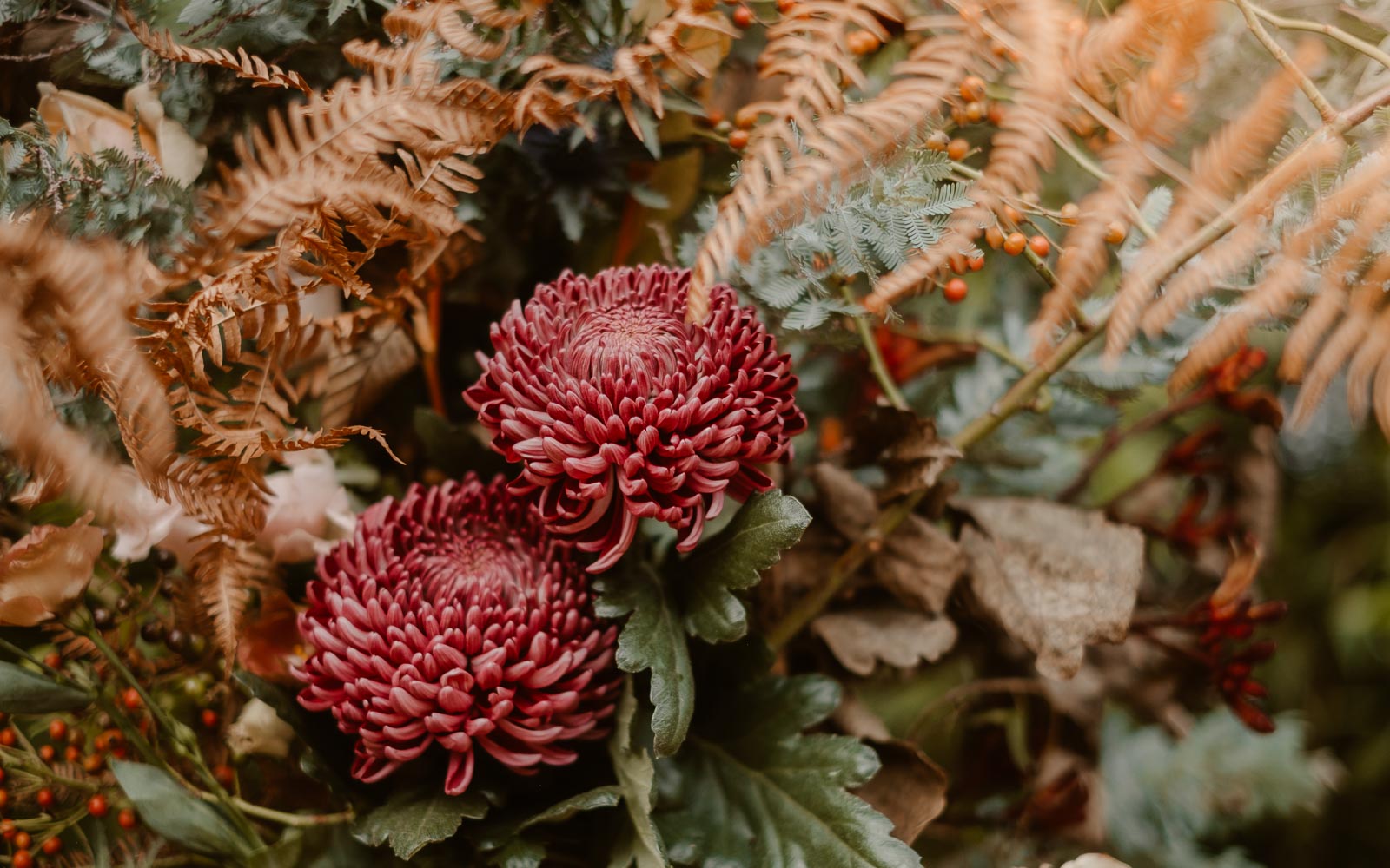 photographies d’un mariage conte d'automne au domaine du Moulin Neuf à Montrevault-sur-Èvre