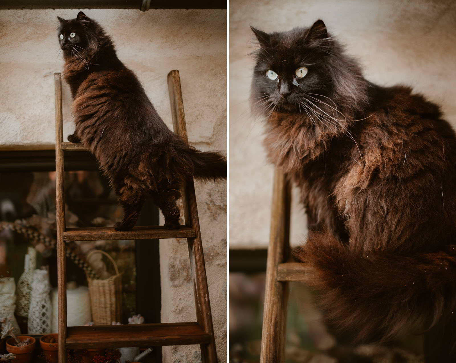 photographies d’une créatrice en design textile & scénographe dans son atelier à Clisson