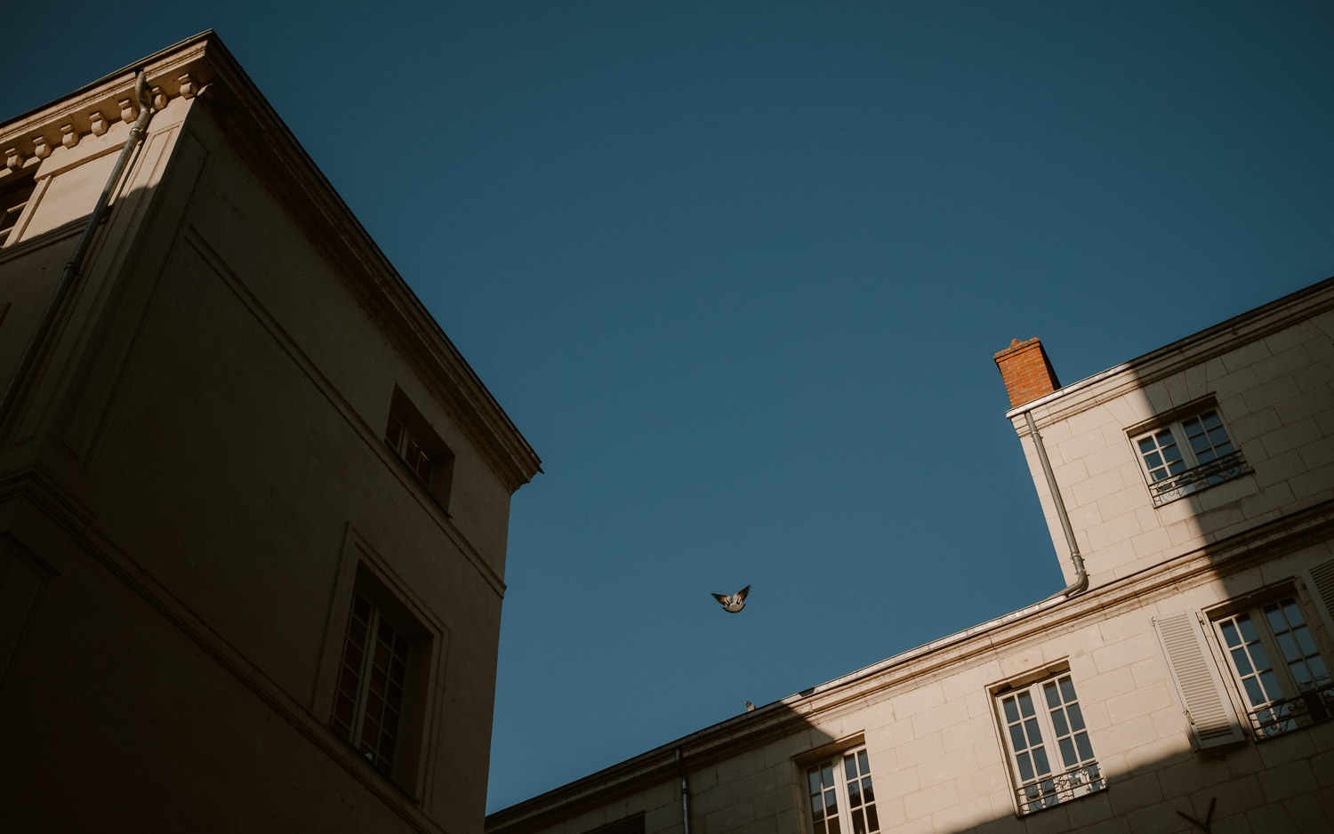 photographies d’une artiste créatrice dans son atelier boutique à Saumur