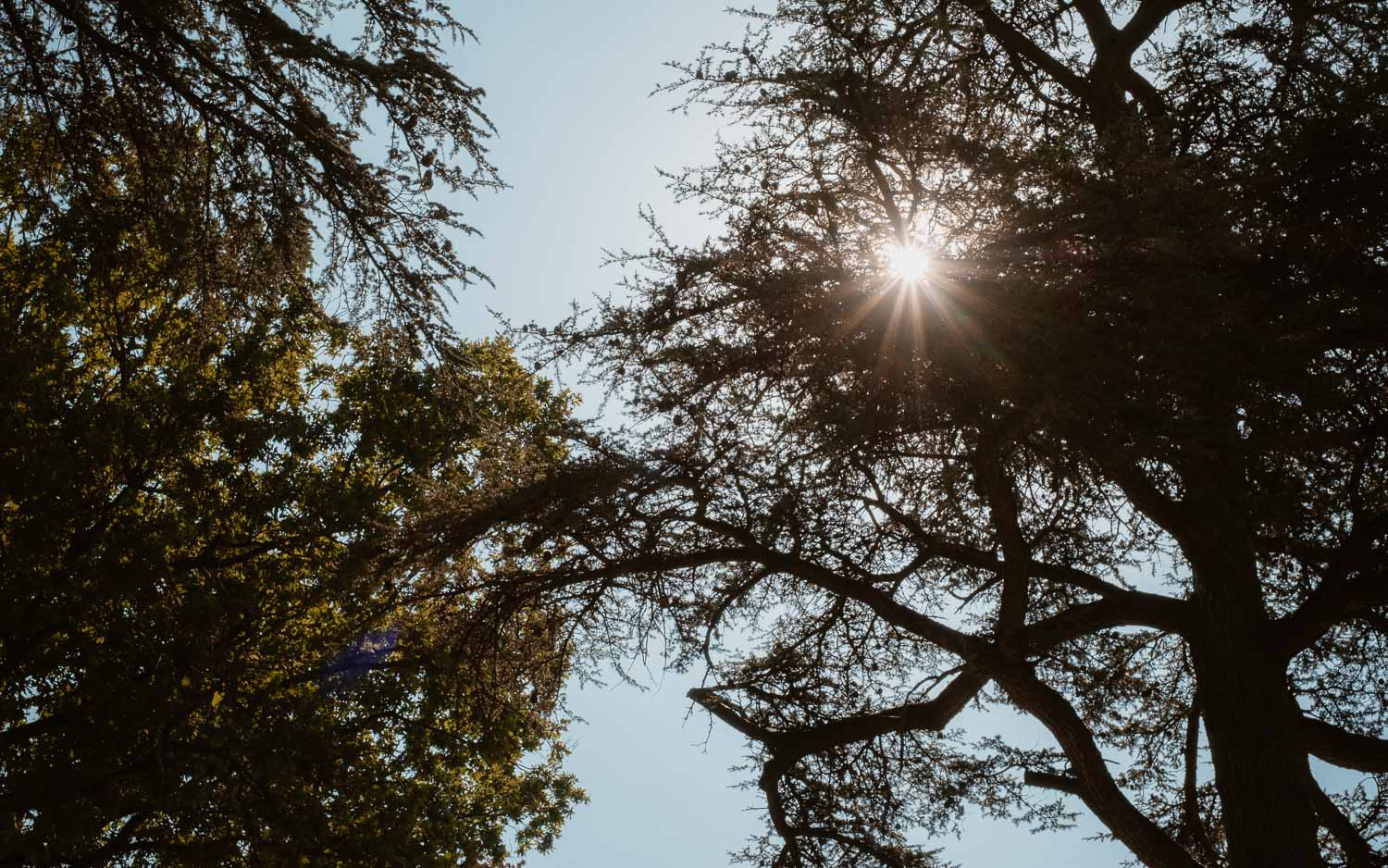 photographies d’un mariage chic à Anetz, près de Nantes