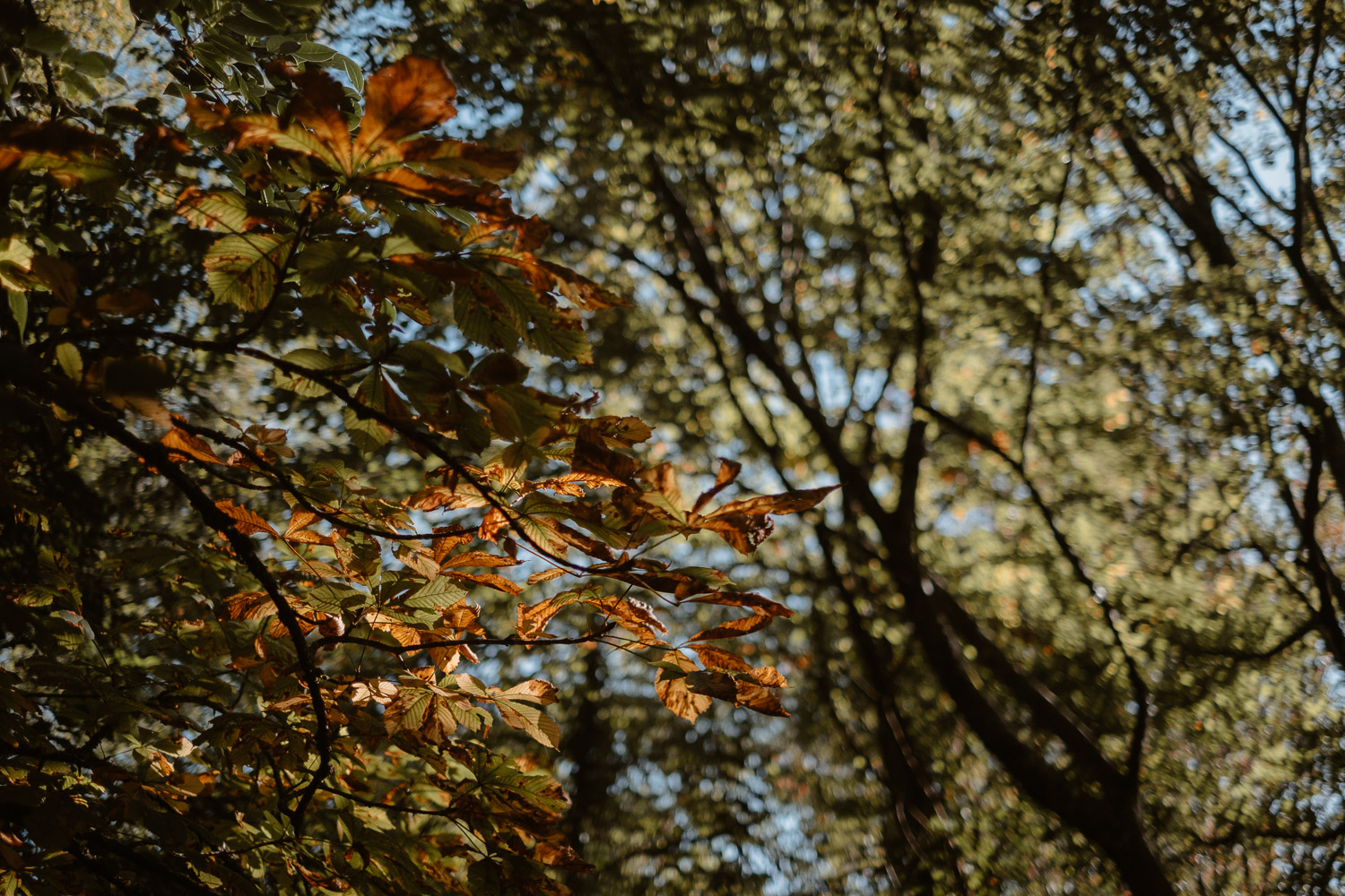 photographies d’un créateur & designer de montres éco-durables, sustainable tool watches, à Clisson, pays de la loire