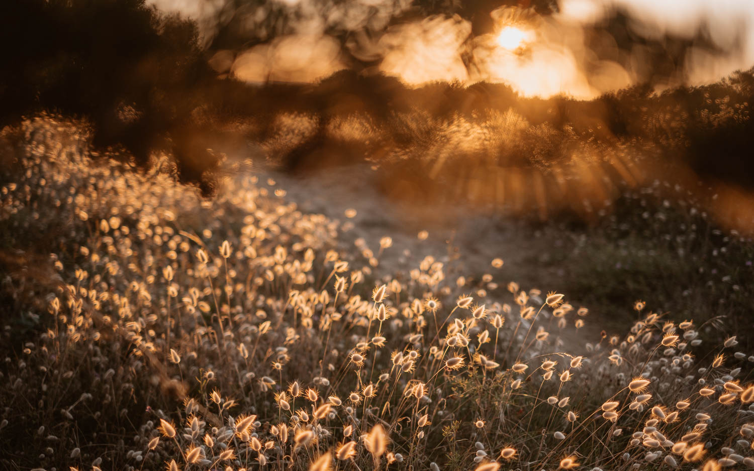 Séance photo en attendant bébé, ventre rond de futurs parents en extérieur, à l’ambiance romantique, au coucher de soleil sur la plage de Bretignolles-sur-mer en Vendée par Geoffrey Arnoldy photographe