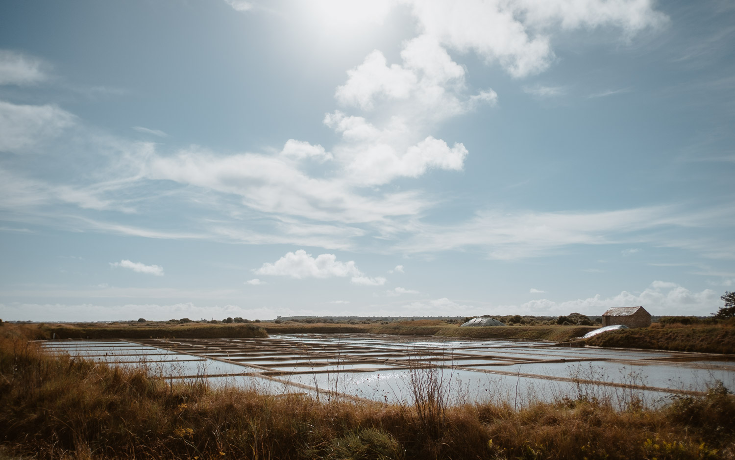 Photos de jeunes mariés dans les marais salants à Guérande