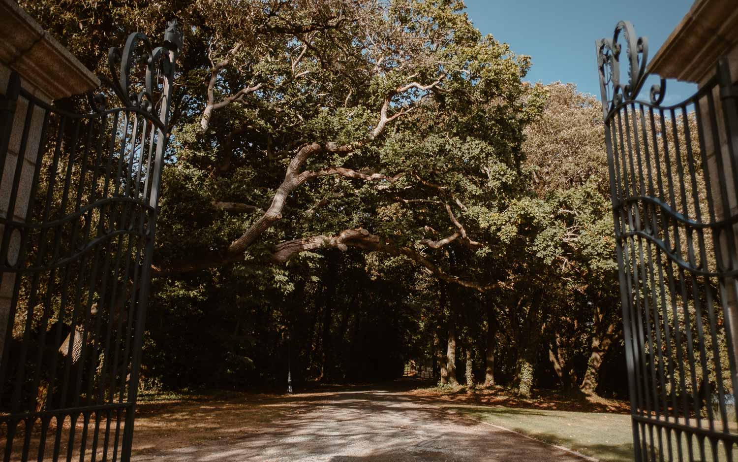 Reportage photo lors d'un mariage au château de Lauvergnac à la turballe