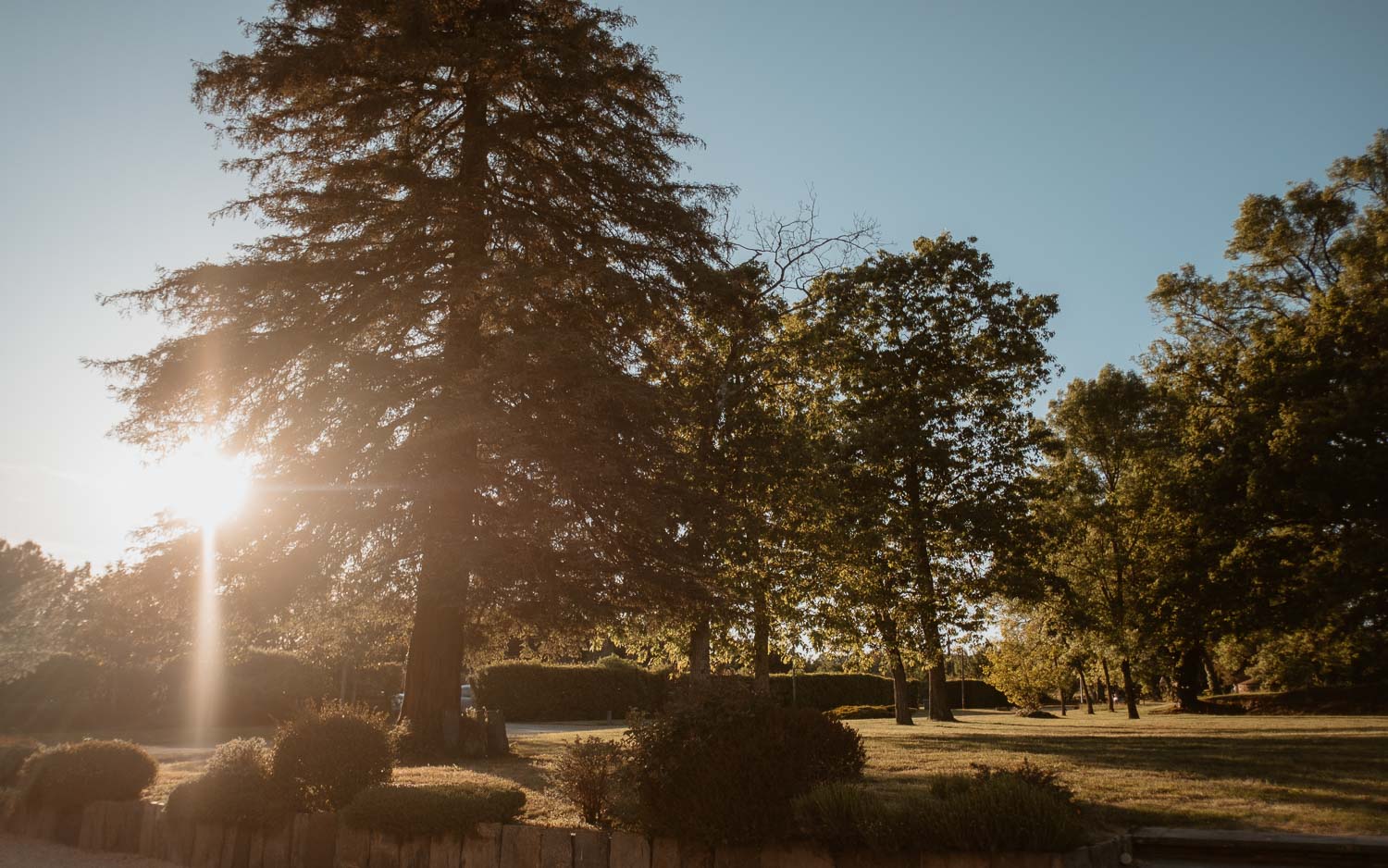 Reportage photo du cocktail d’un mariage au Manoir de la Jahotière