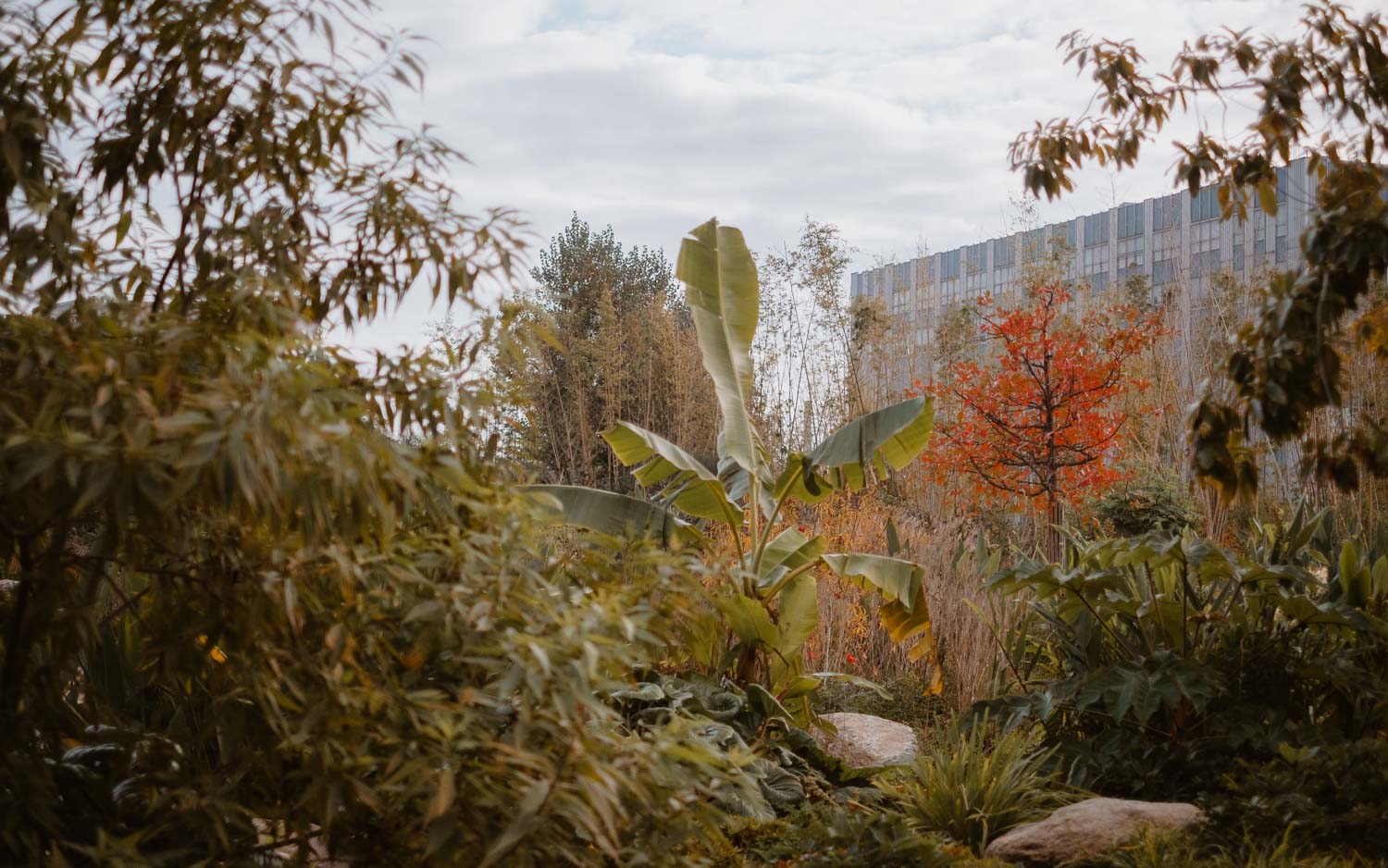 Reportage photo lors d’une séance famille au jardin extraordinaire de Nantes