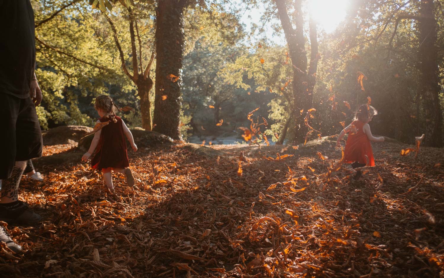 Reportage photo en famille en forêt à Clisson par Geoffrey Arnoldy