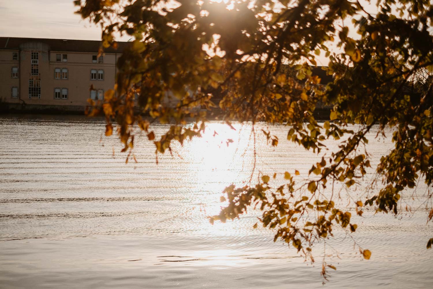 Photographies de couple d’un mariage d’automne à l’abbaye des prémontrés