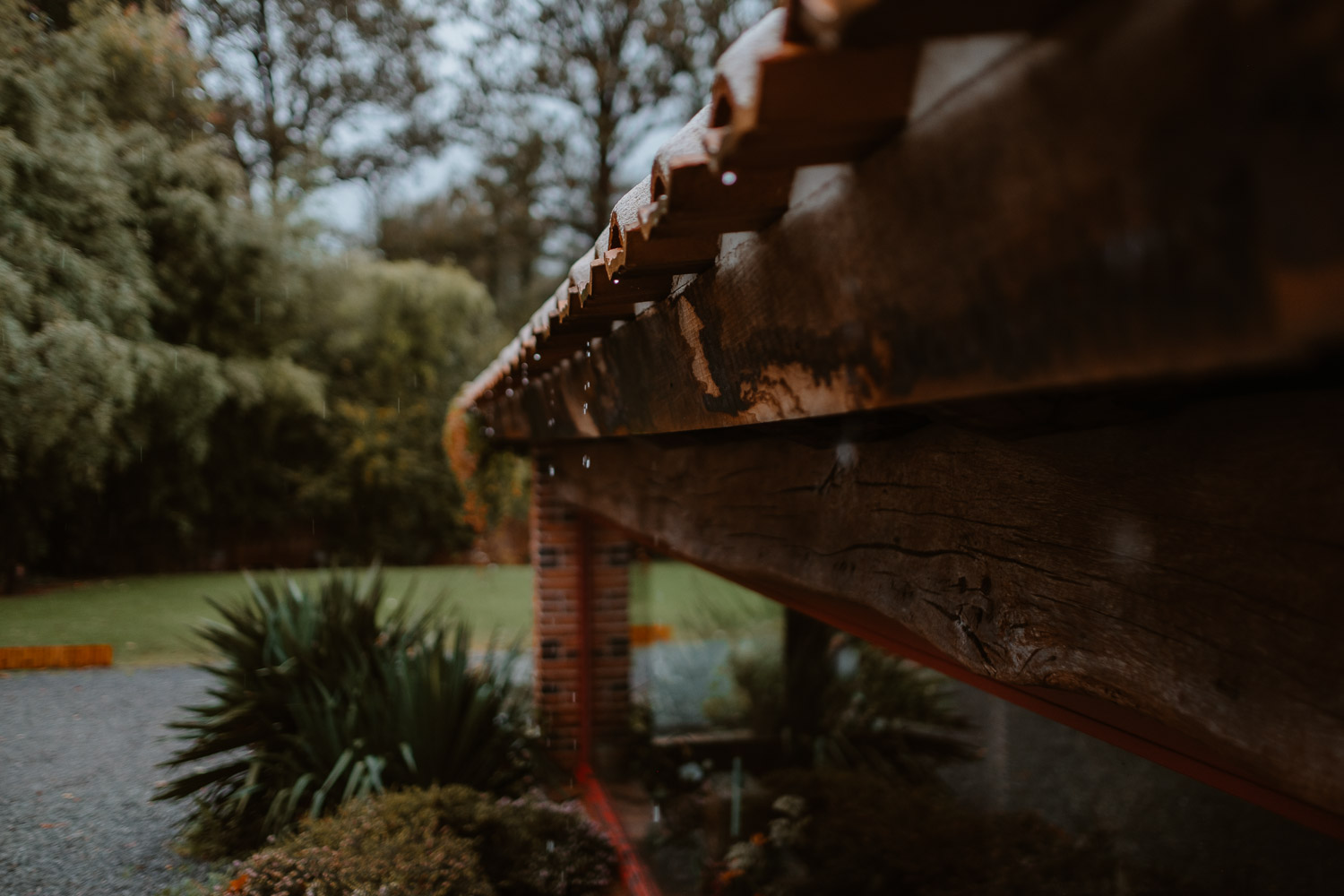 Photographies moody sous la pluie du Domaine du Moulin Neuf dans les Mauges