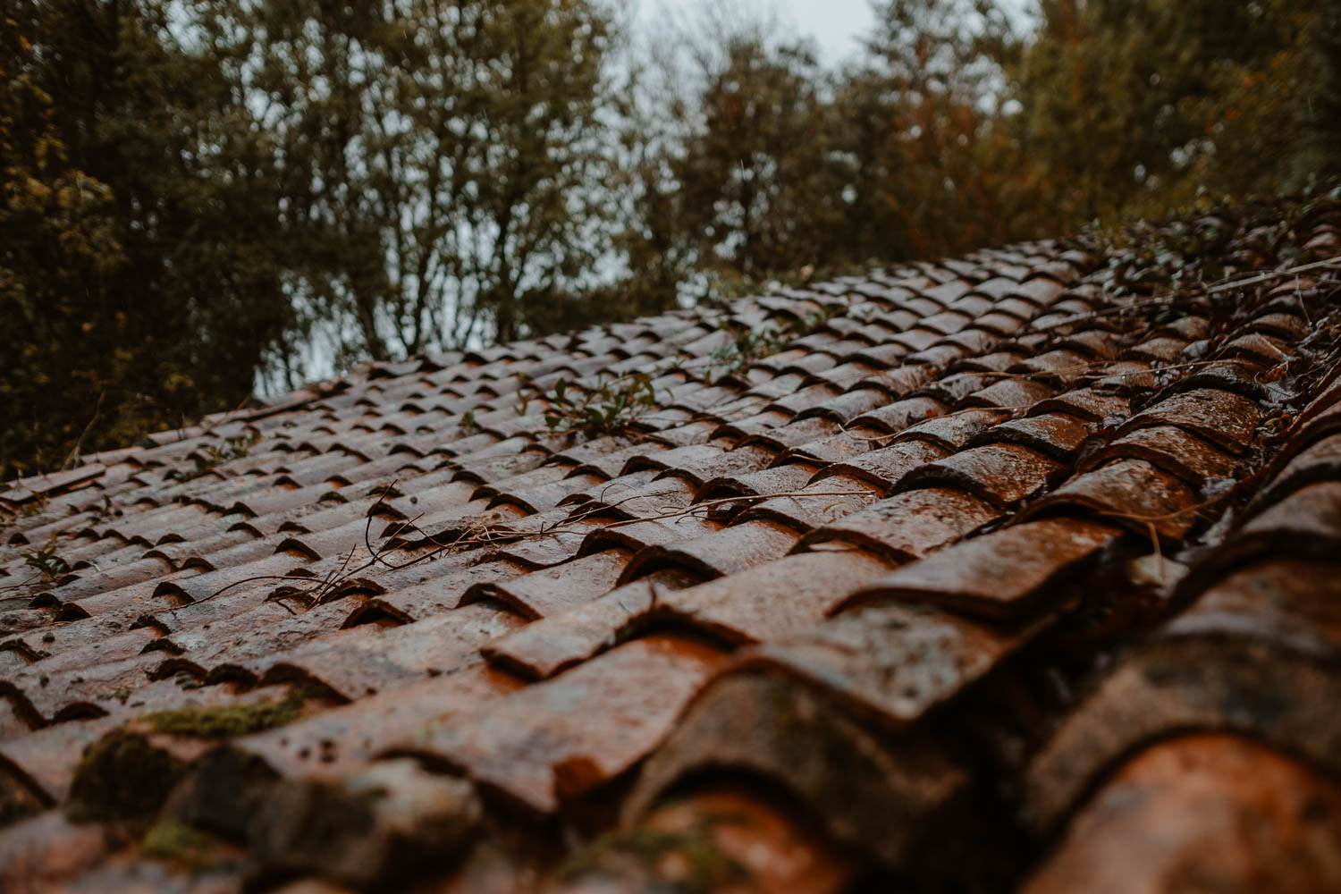 Photographies moody sous la pluie du Domaine du Moulin Neuf dans les Mauges