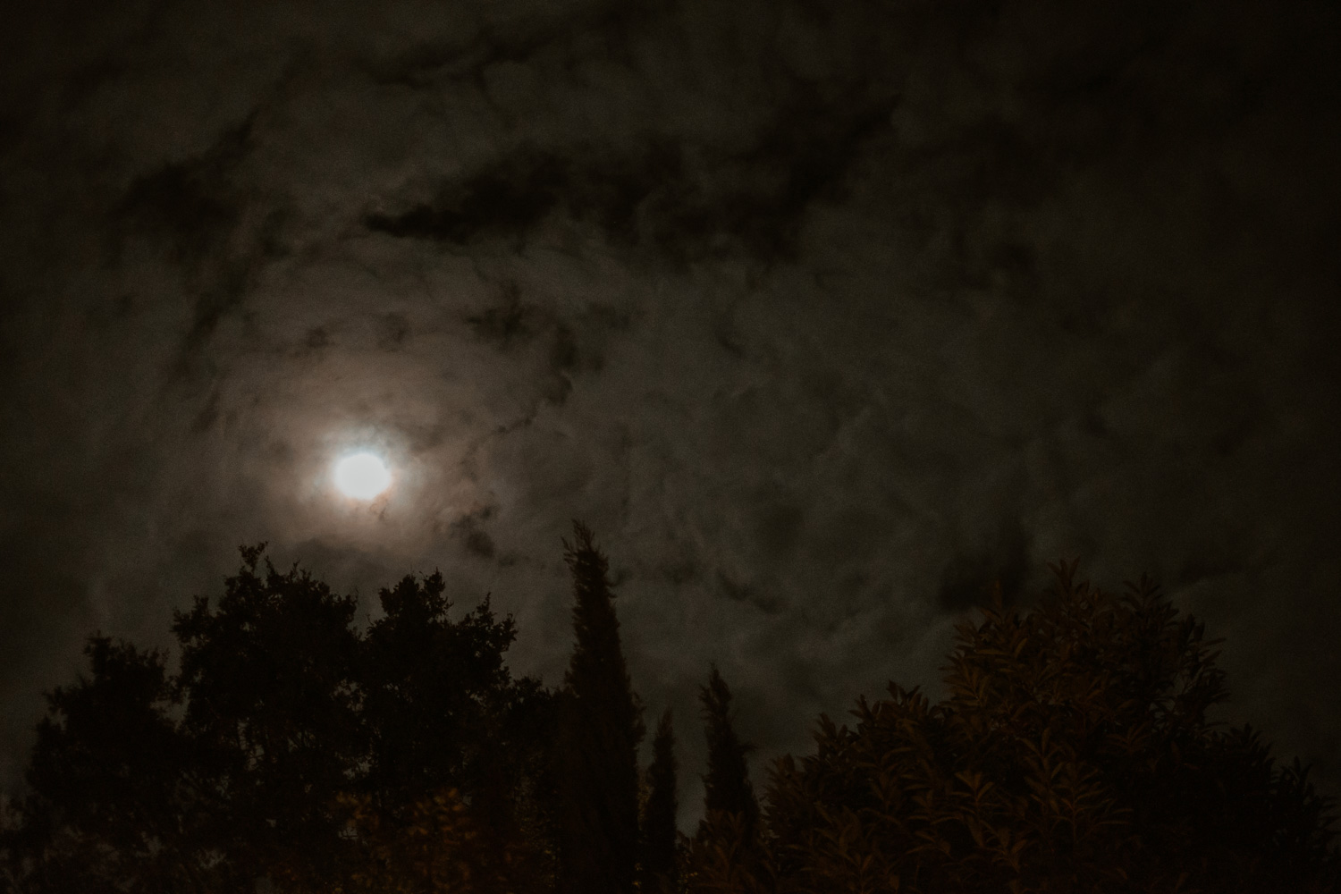 Lune lors d'une soirée de mariage sur un mariage d'automne