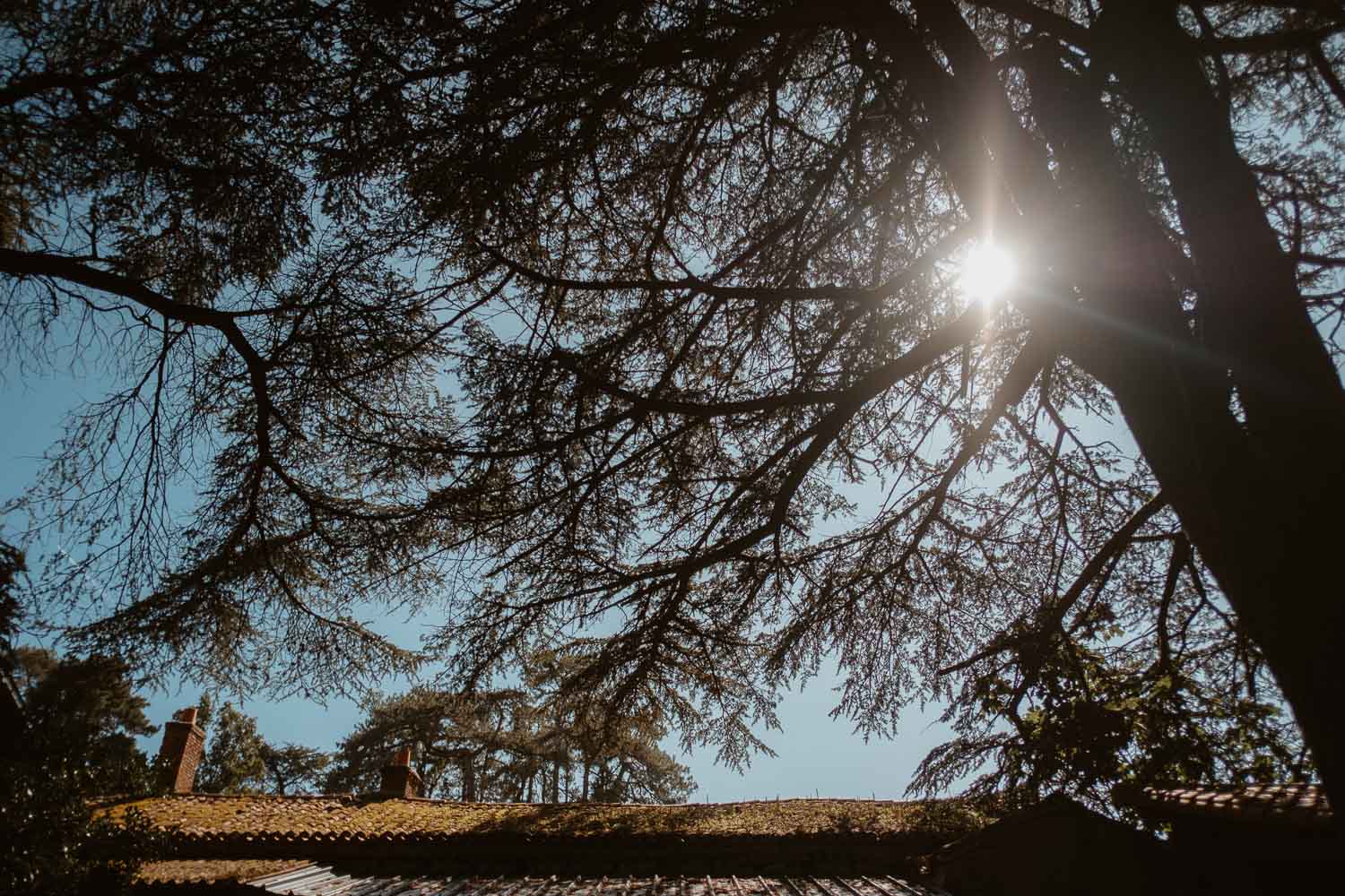 reportage photo mariage lifestyle cérémonie laïque — Domaine de la Mazure Chapelle Basse Mer