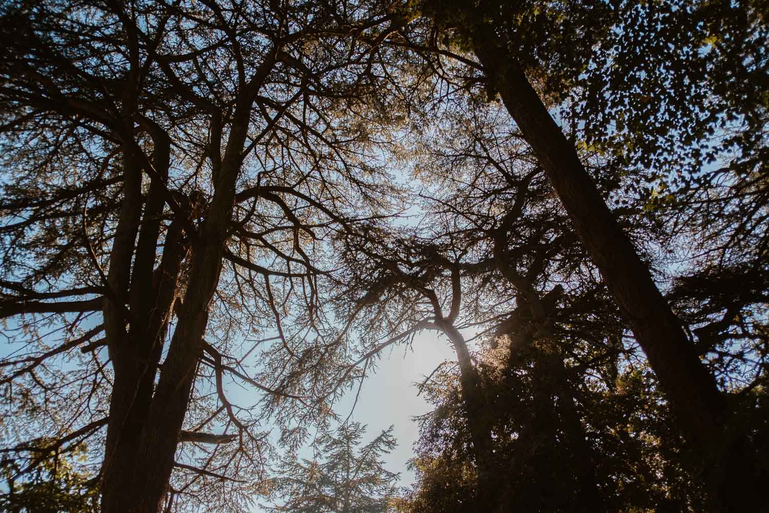 reportage photo mariage lifestyle cérémonie laïque — Domaine de la Mazure Chapelle Basse Mer