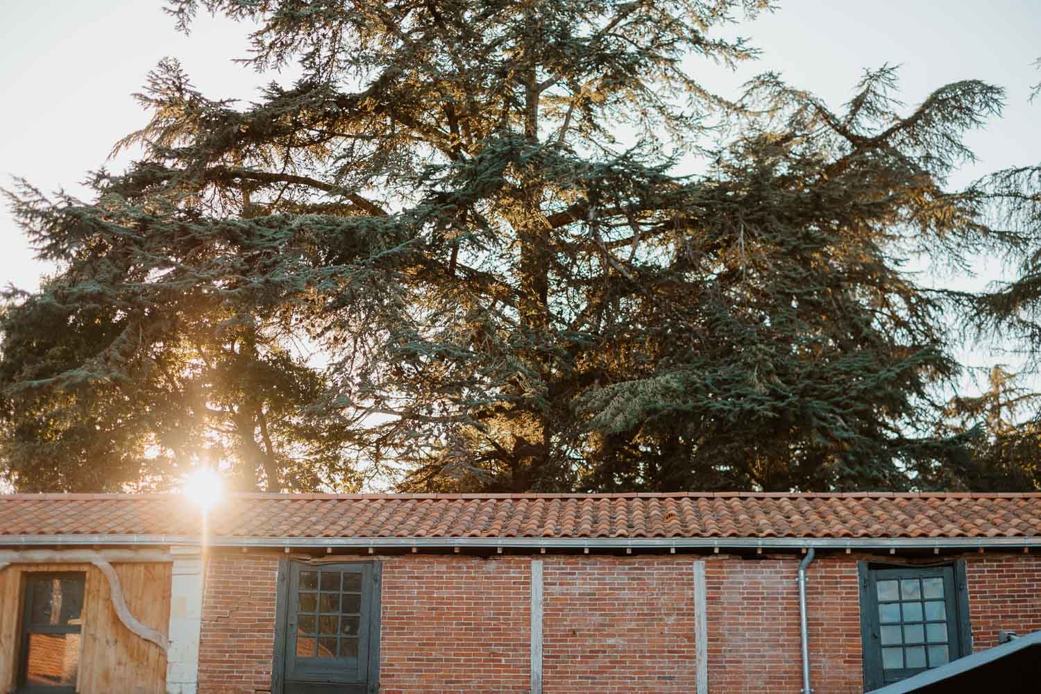 reportage photo lifestyle instants de vie cocktail mariage— Domaine de la Mazure Chapelle Basse Mer