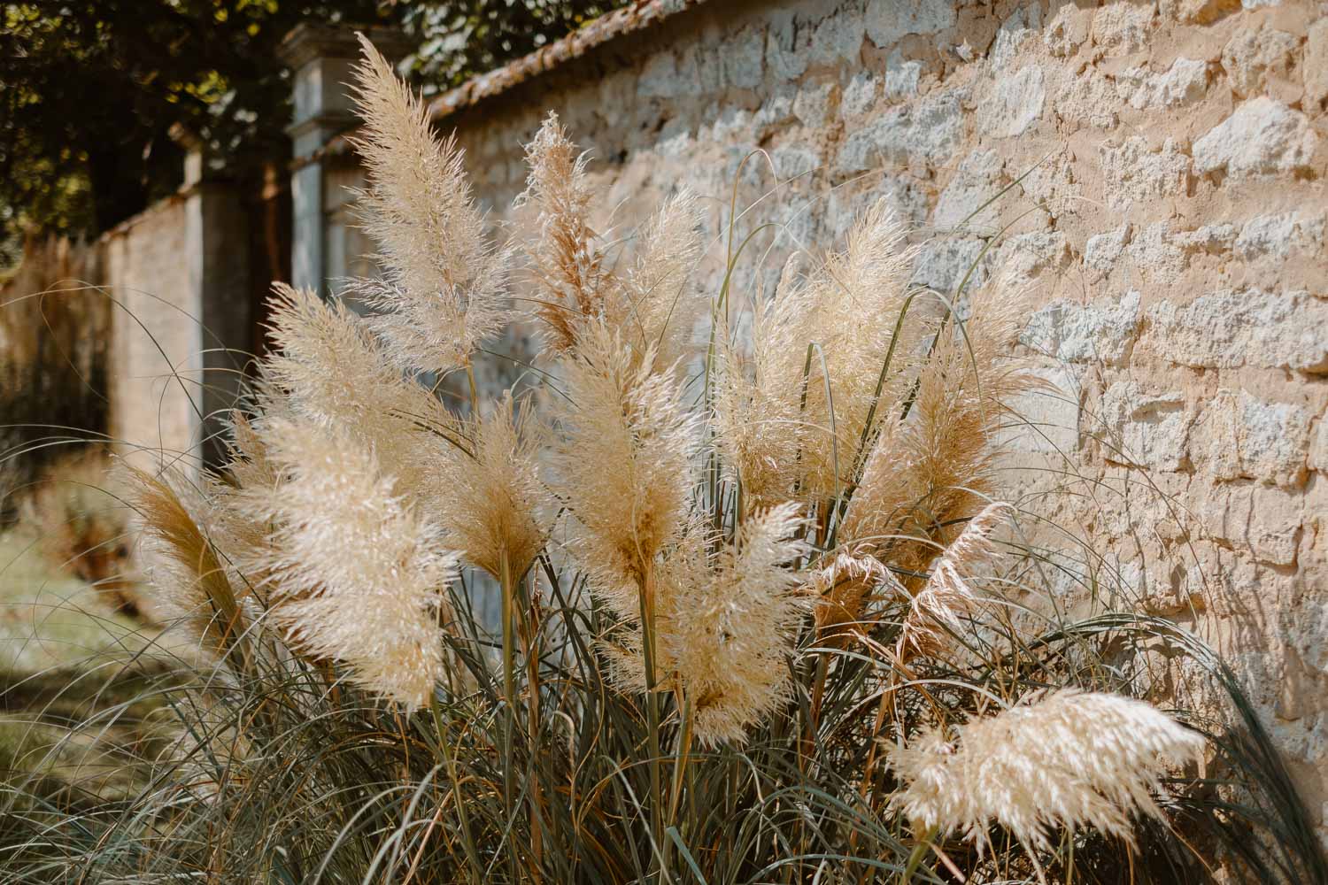 reportage photo lifestyle mariage été — Château de Théon à Cozes