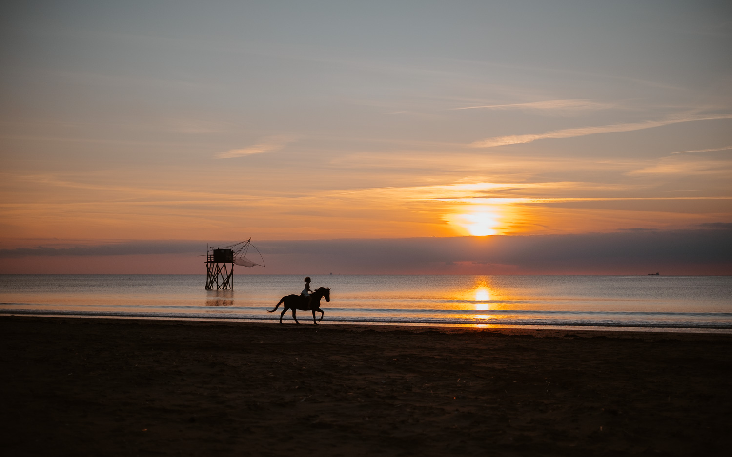 Séance photo de couple day after mise en scène avec cheval à la golden hour en pays de la loire (44)