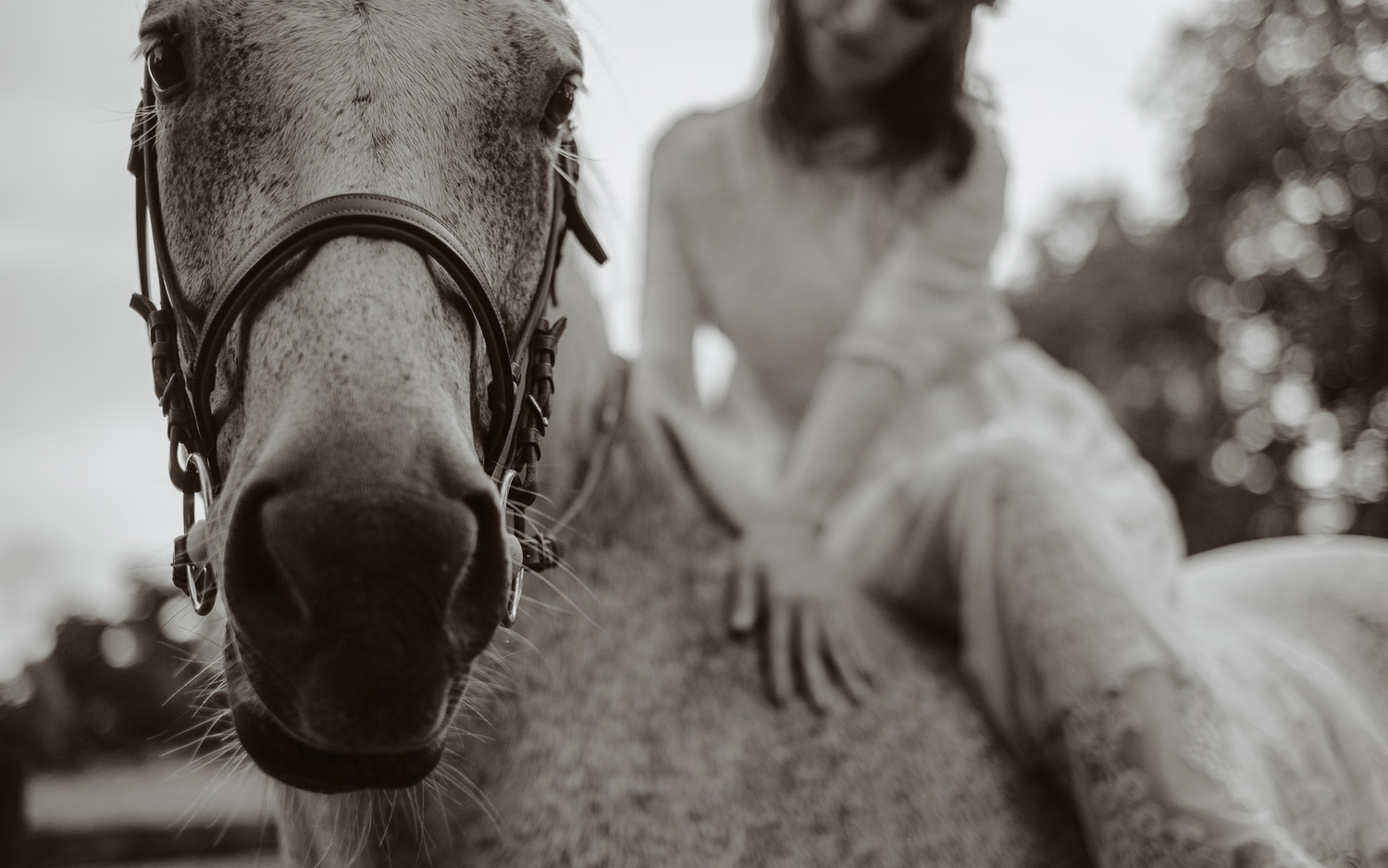 Séance photo couple américain demande en mariage en pays de la loire (49) - Loire Valley
