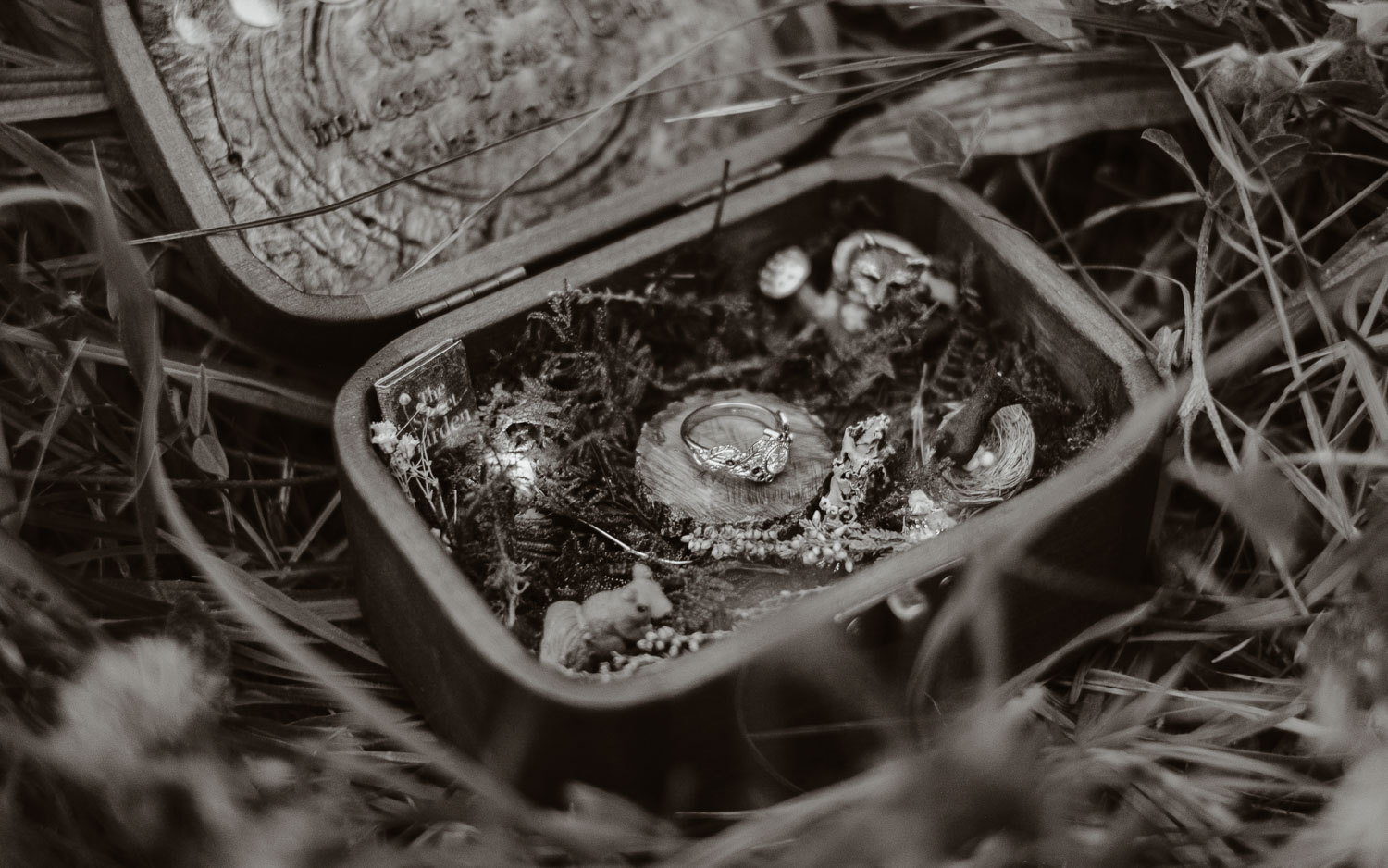 Séance photo couple américain demande en mariage en pays de la loire (49) - Loire Valley