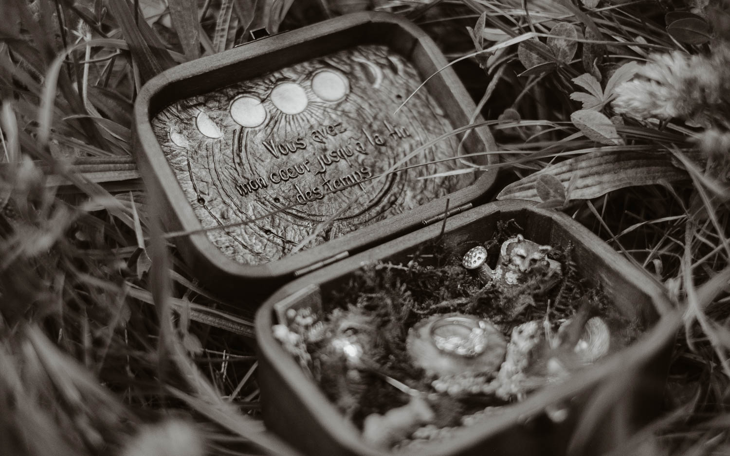 Séance photo couple américain demande en mariage en pays de la loire (49) - Loire Valley
