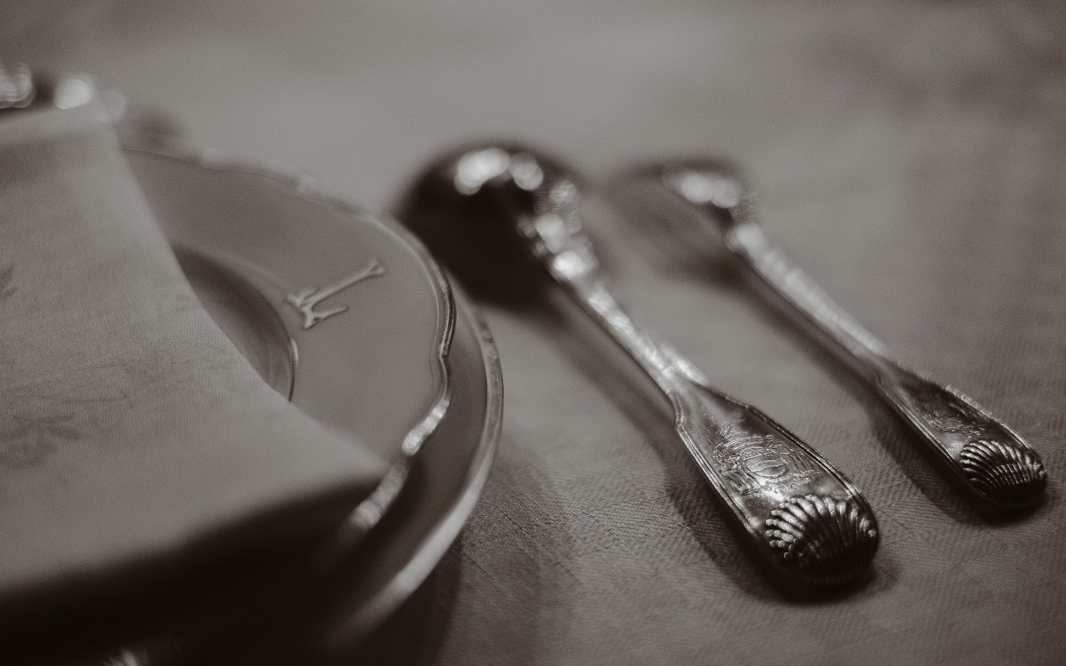 Séance photo couple américain demande en mariage en pays de la loire (49) - Loire Valley
