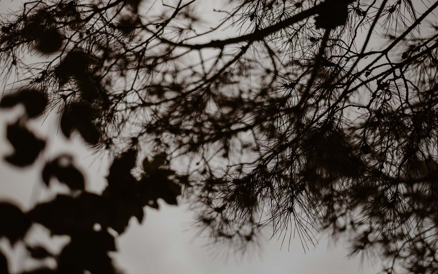 Séance photo couple amoureux engagement demande en mariage dans les Mauges (49) - Loire Valley