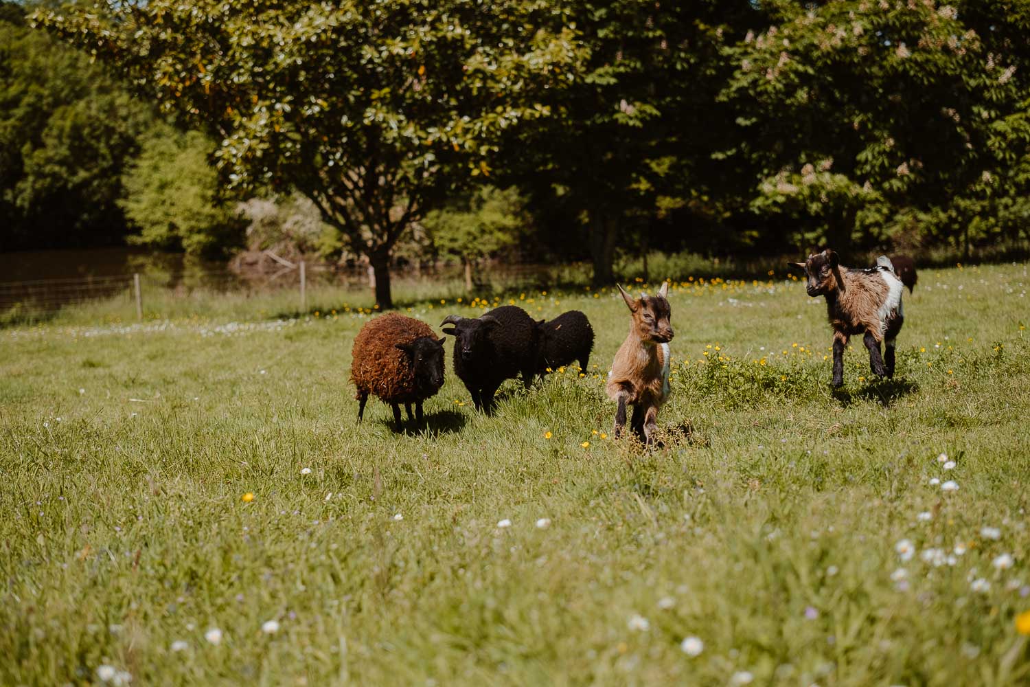 reportage photo lifestyle mariage printemps — Château du Coing à Saint Fiacre sur Maine