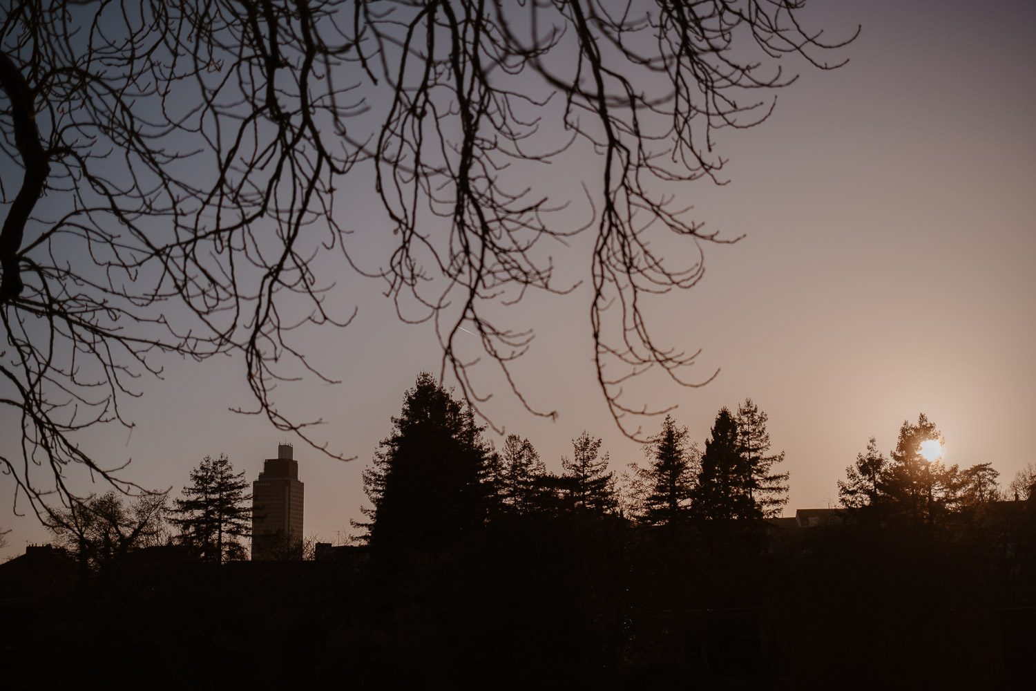 Séance photo engagement de couple save the date en hiver au coucher de soleil à Nantes (44)