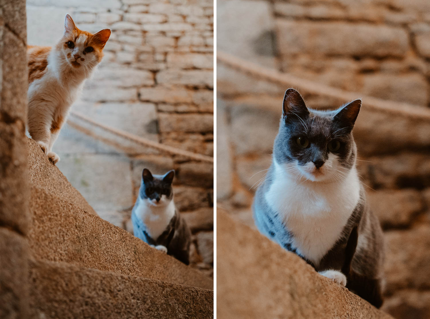 reportage photo lifestyle mariage automne — Château du Bois Guy à Parigné